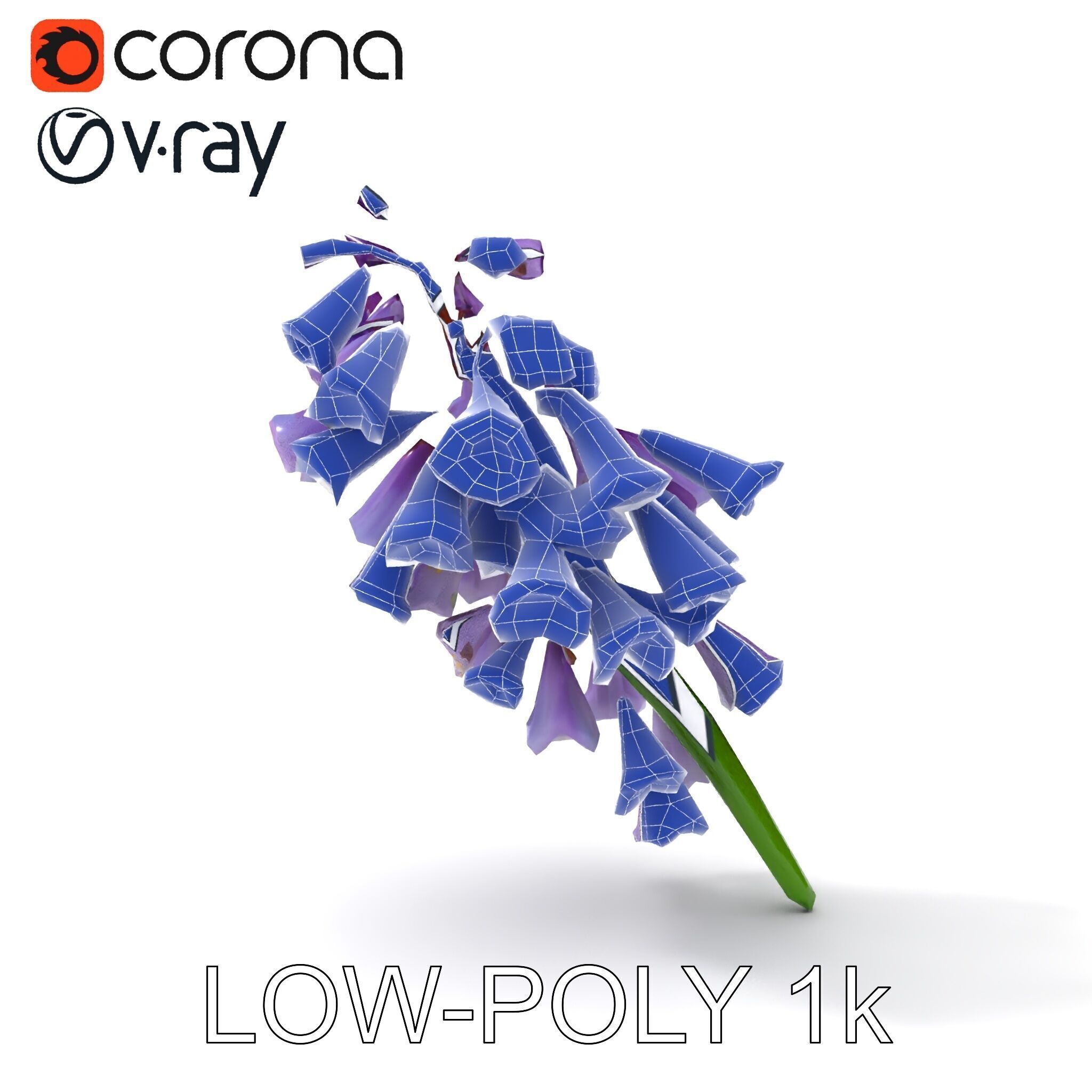 Lilac Hyacinth Flower Model Pack Low-poly 3D model_16