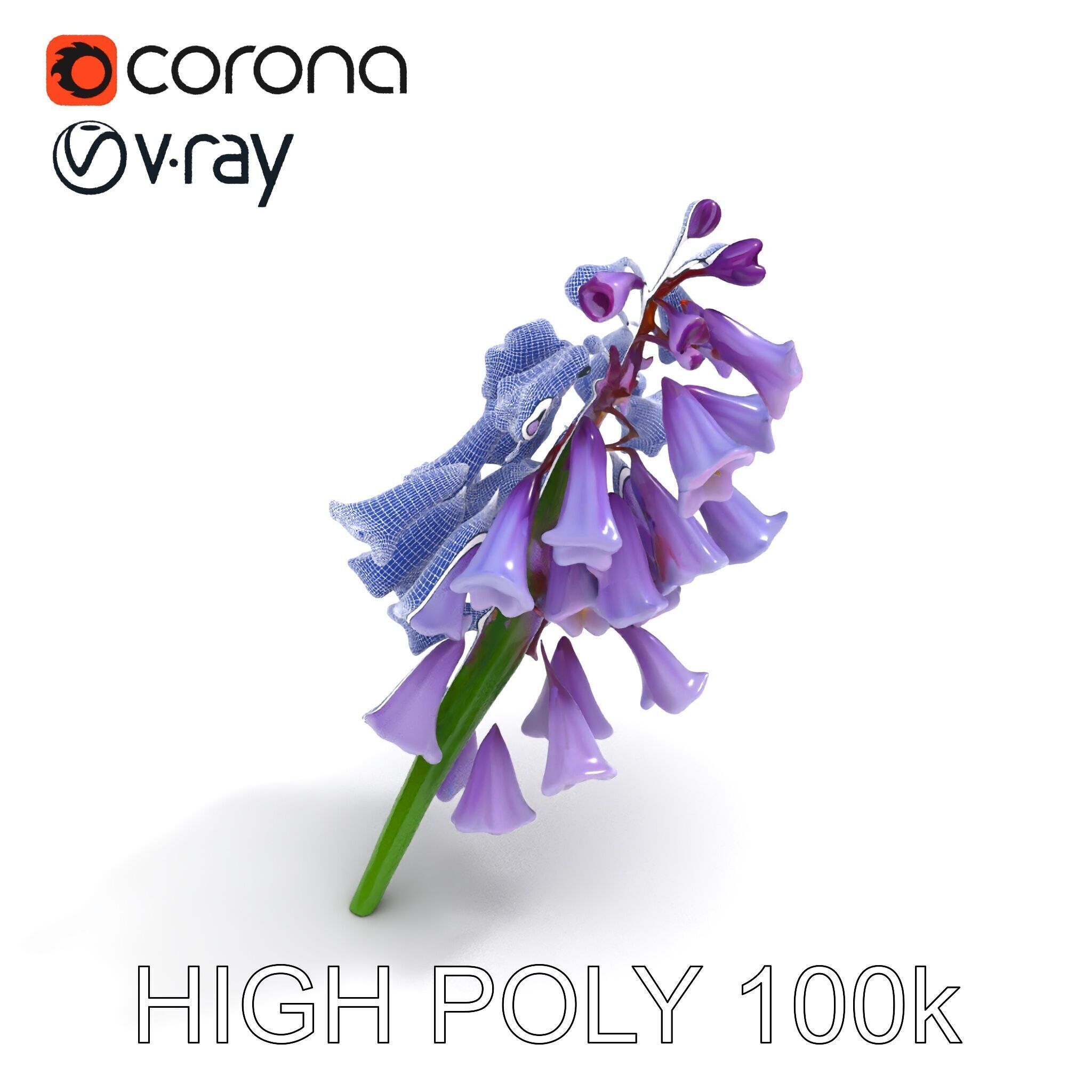 Lilac Hyacinth Flower Model Pack Low-poly 3D model_11