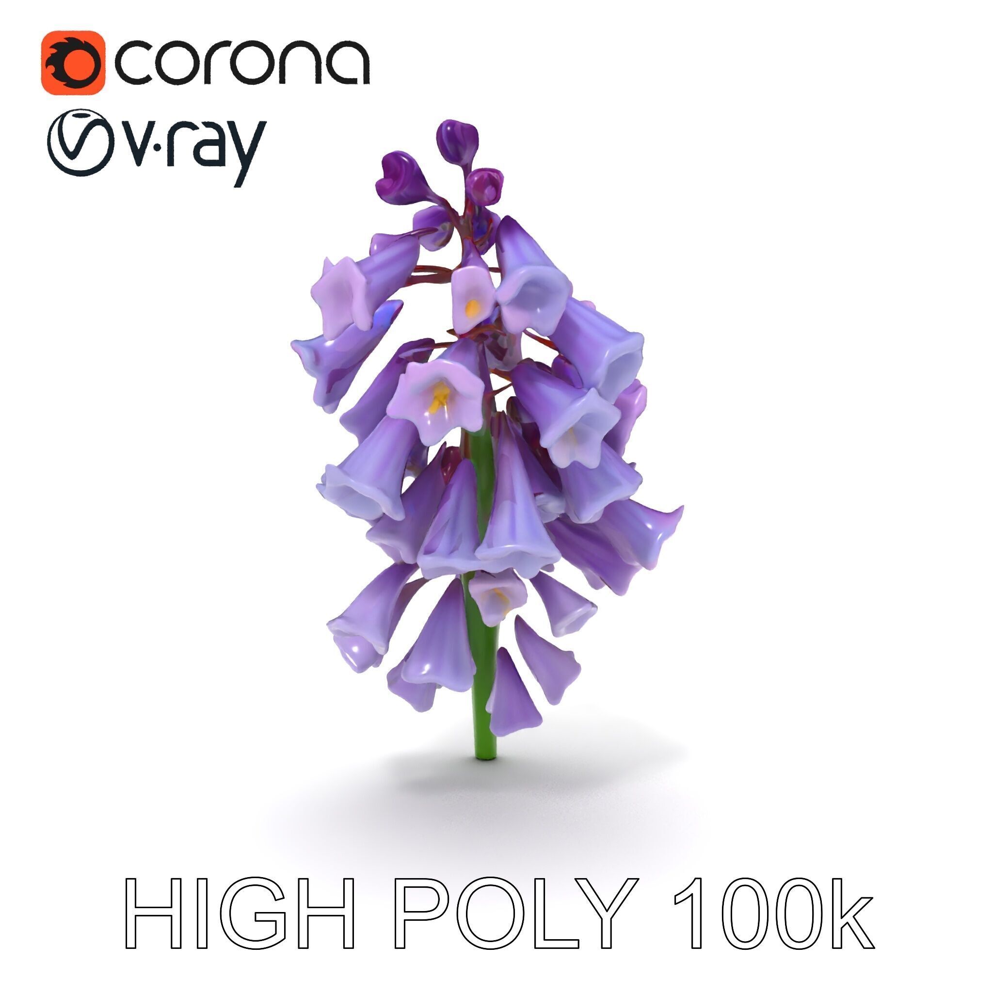 Lilac Hyacinth Flower Model Pack Low-poly 3D model_17