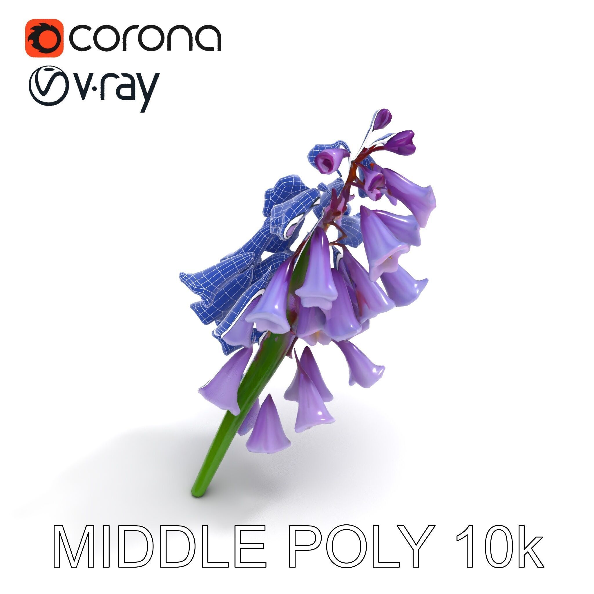 Lilac Hyacinth Flower Model Pack Low-poly 3D model_23