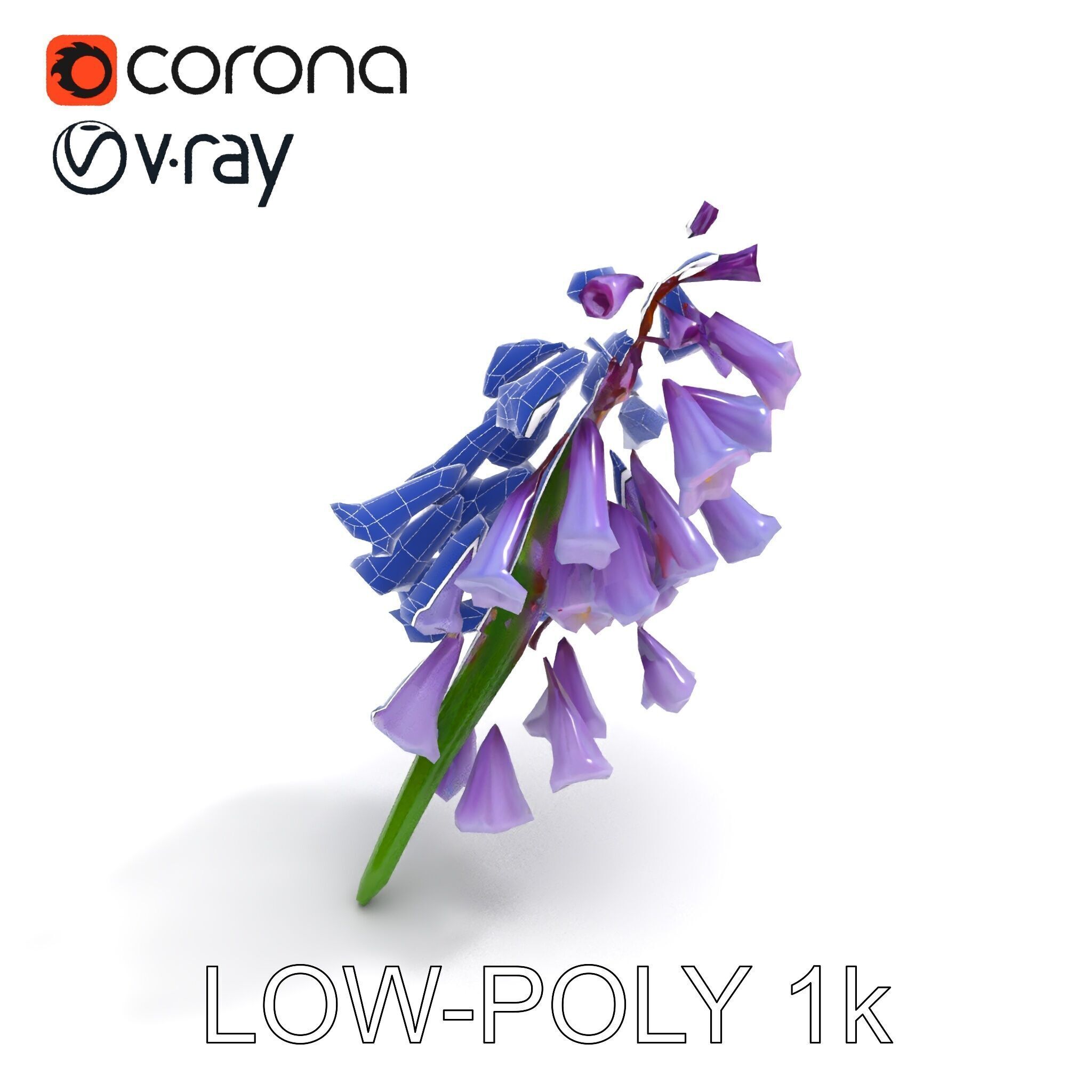 Lilac Hyacinth Flower Model Pack Low-poly 3D model_33