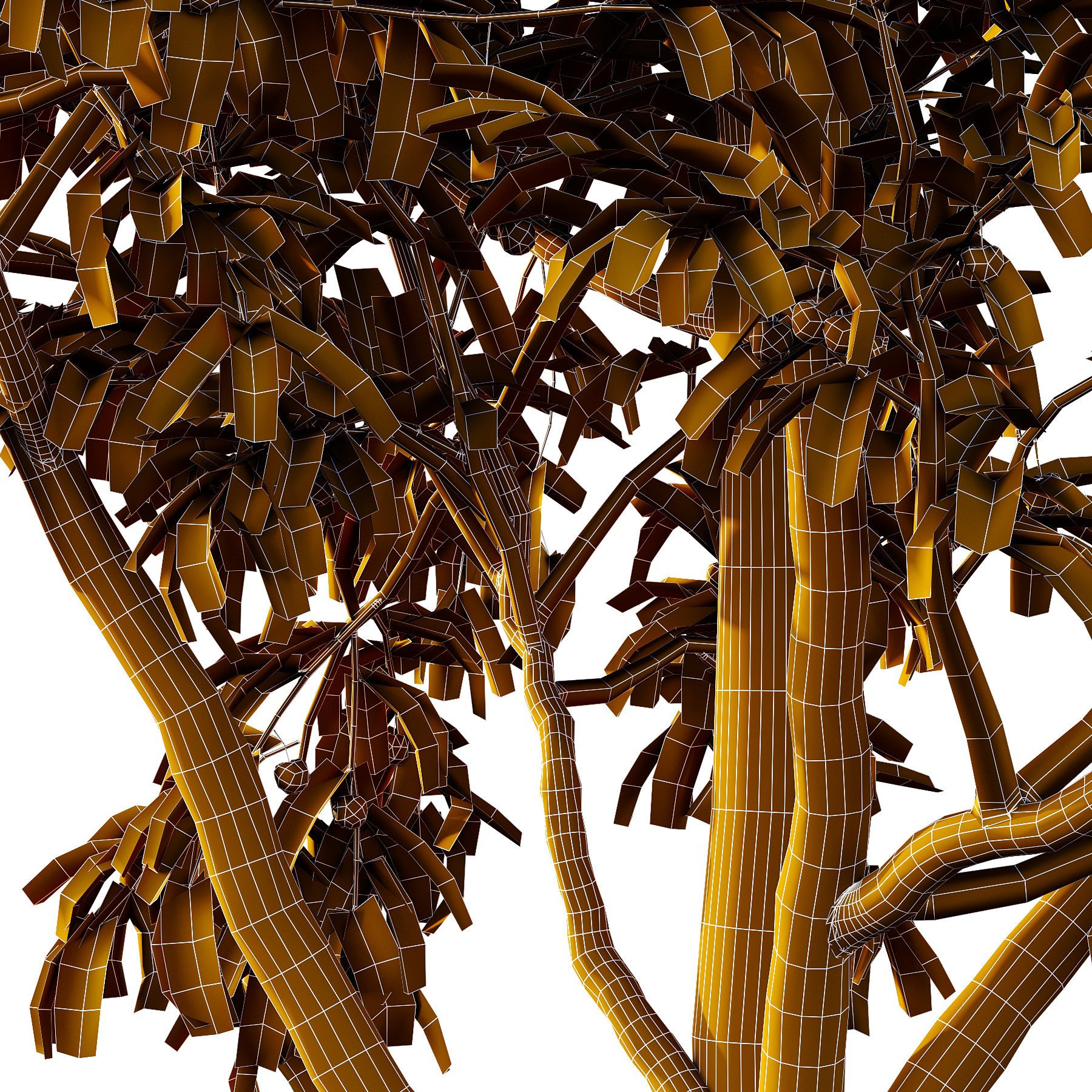 Prunus pseudocerasus Diospyros Kaki Fruit Tree 01 3D model_1