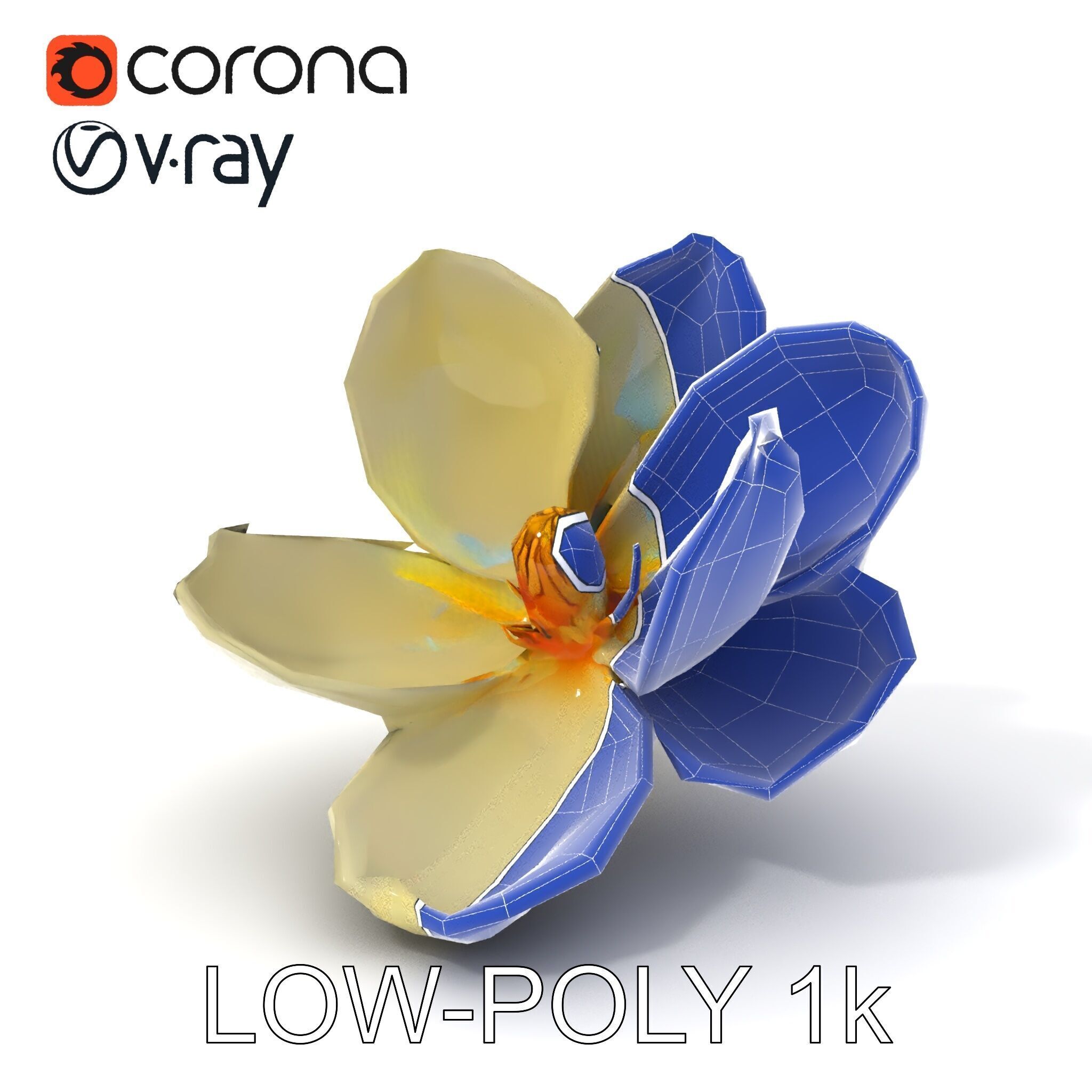 White Magnolia Flower Model Pack Low-poly 3D model_28