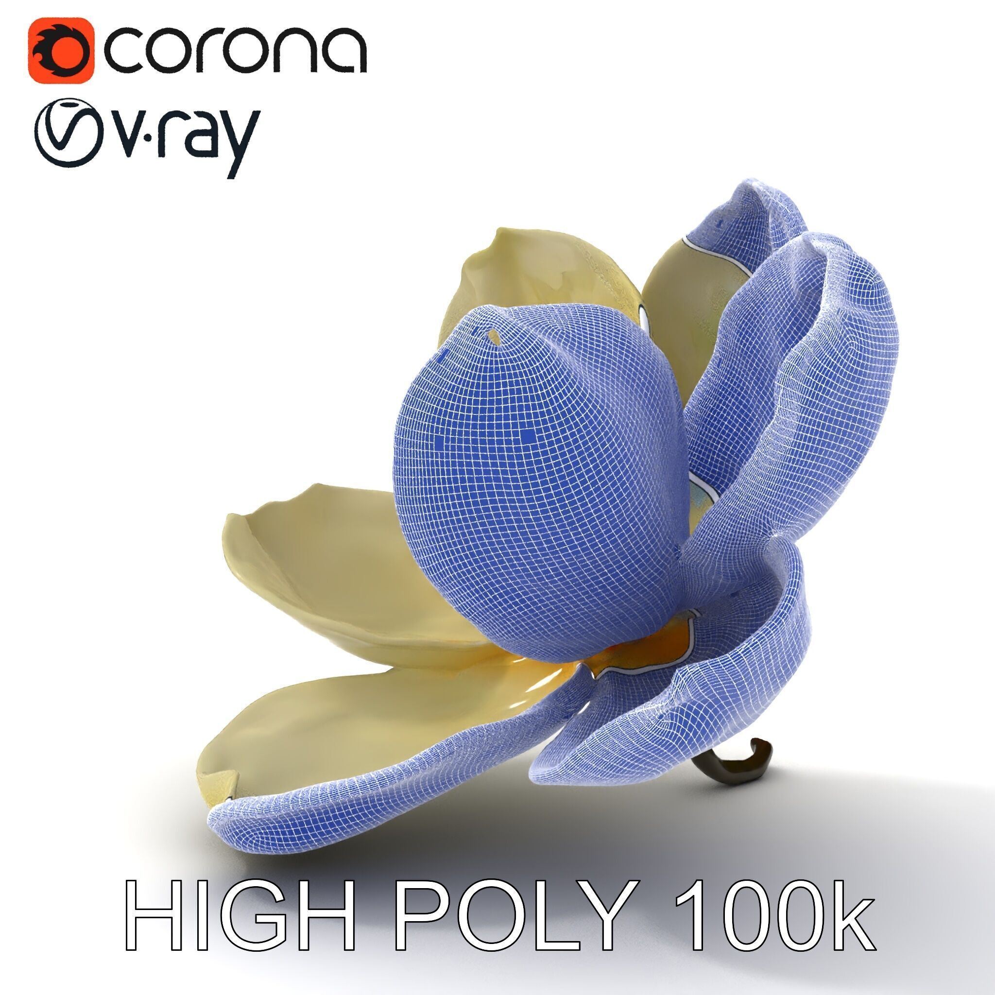 White Magnolia Flower Model Pack Low-poly 3D model_10