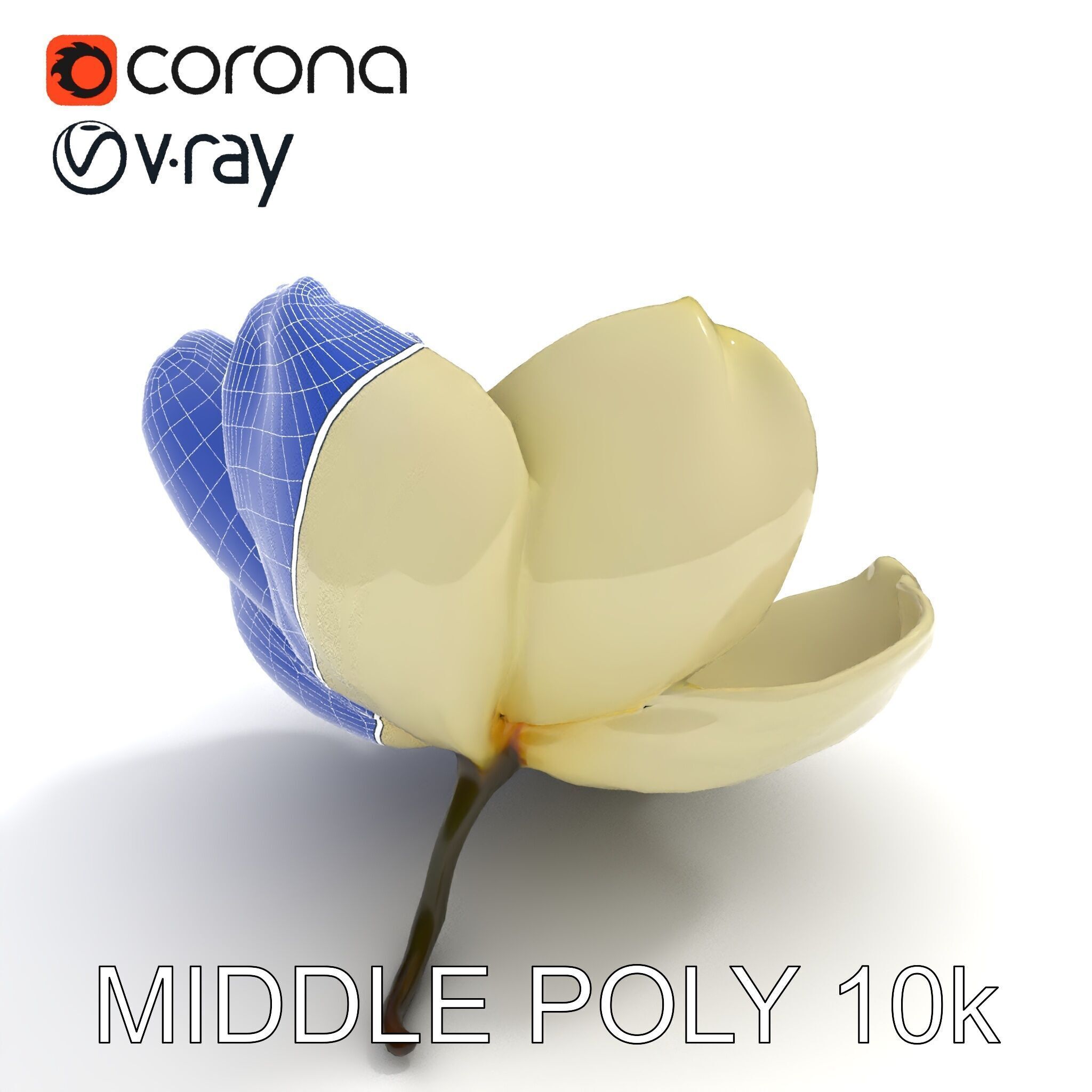 White Magnolia Flower Model Pack Low-poly 3D model_27