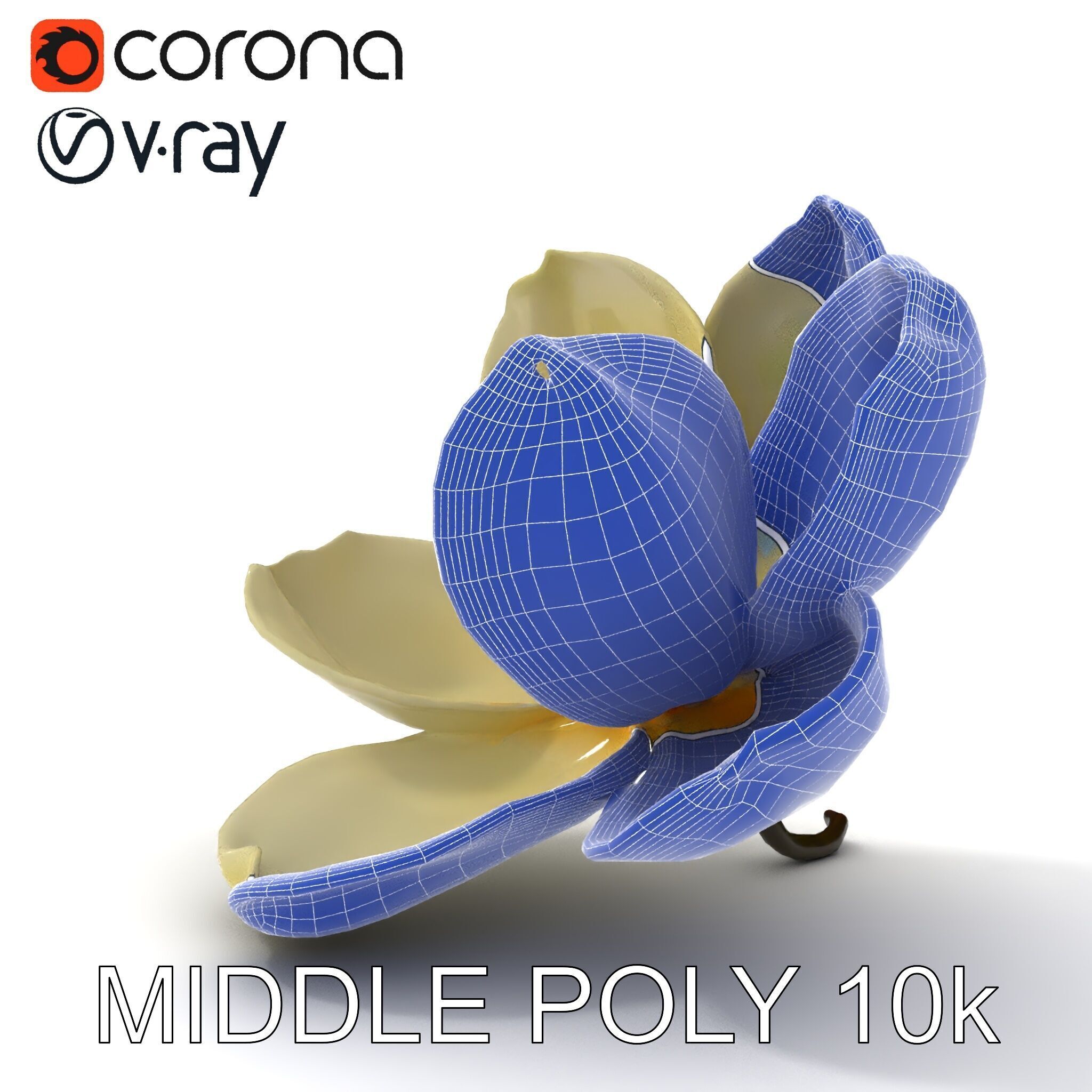 White Magnolia Flower Model Pack Low-poly 3D model_16