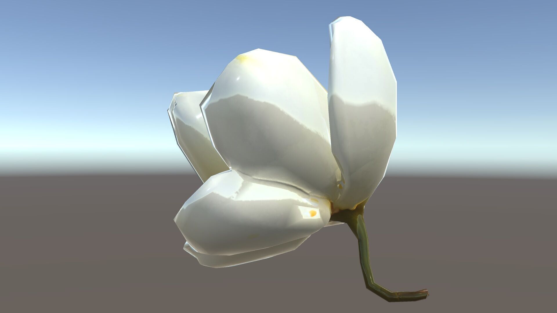 White Magnolia Flower Model Pack Low-poly 3D model_22