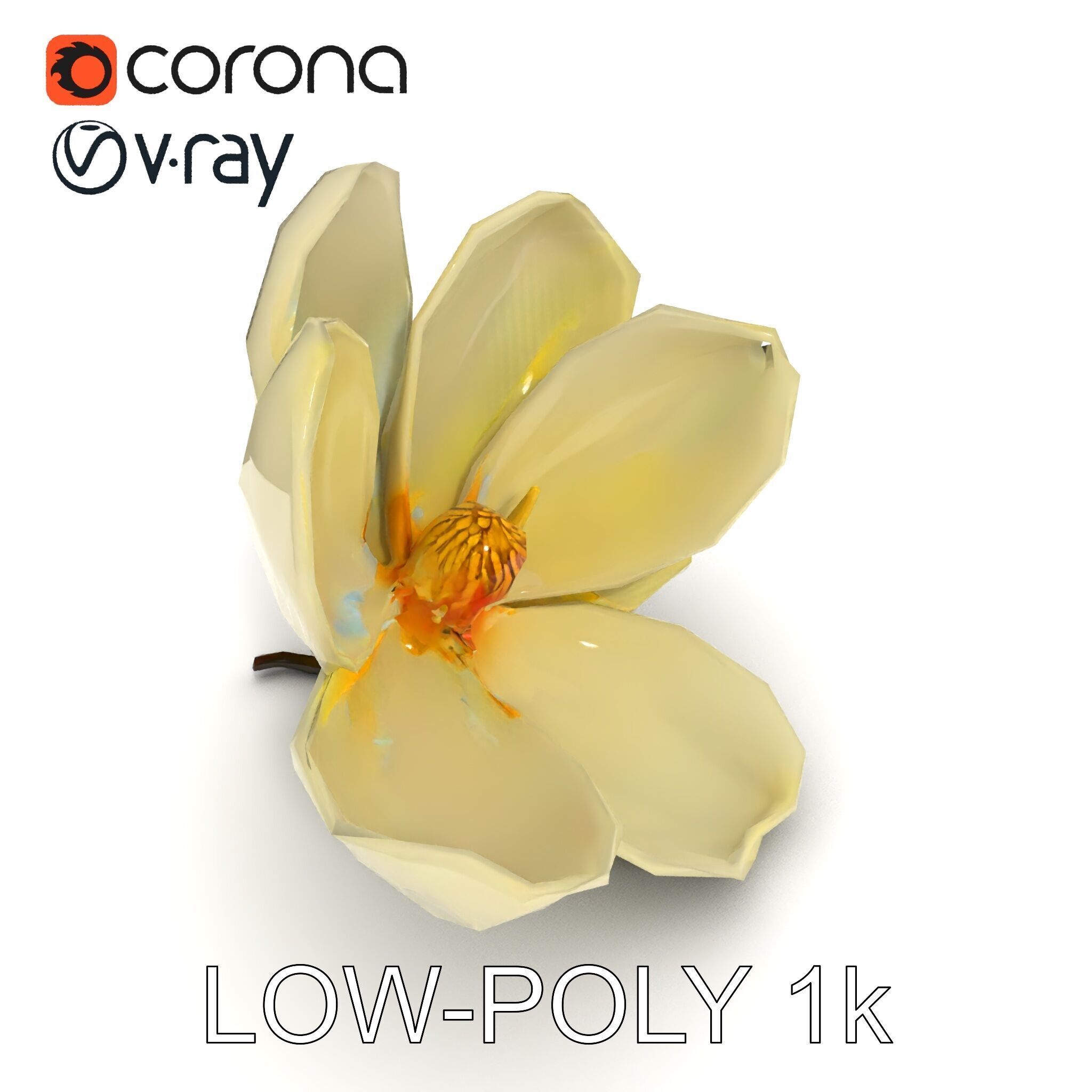 White Magnolia Flower Model Pack Low-poly 3D model_20