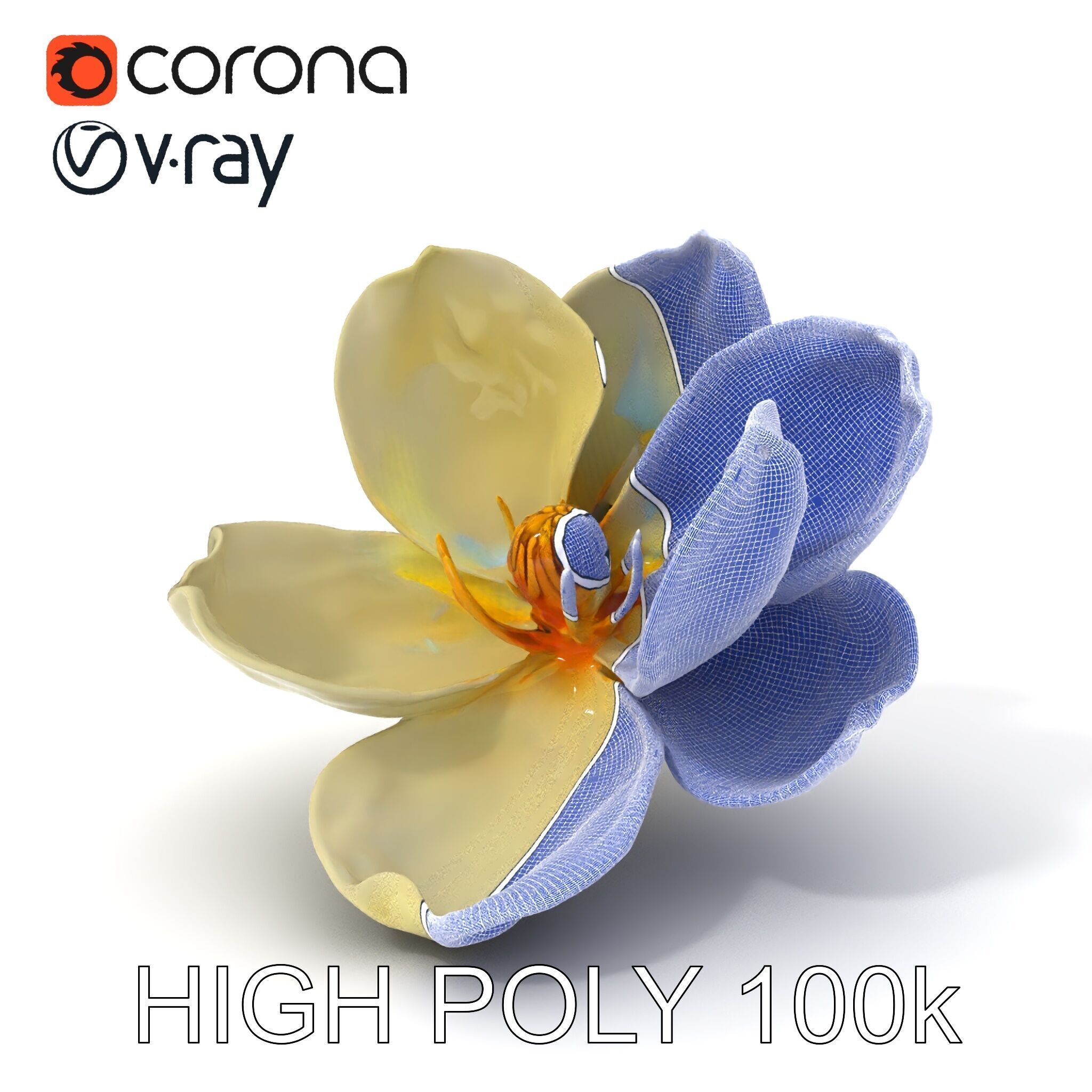 White Magnolia Flower Model Pack Low-poly 3D model_4