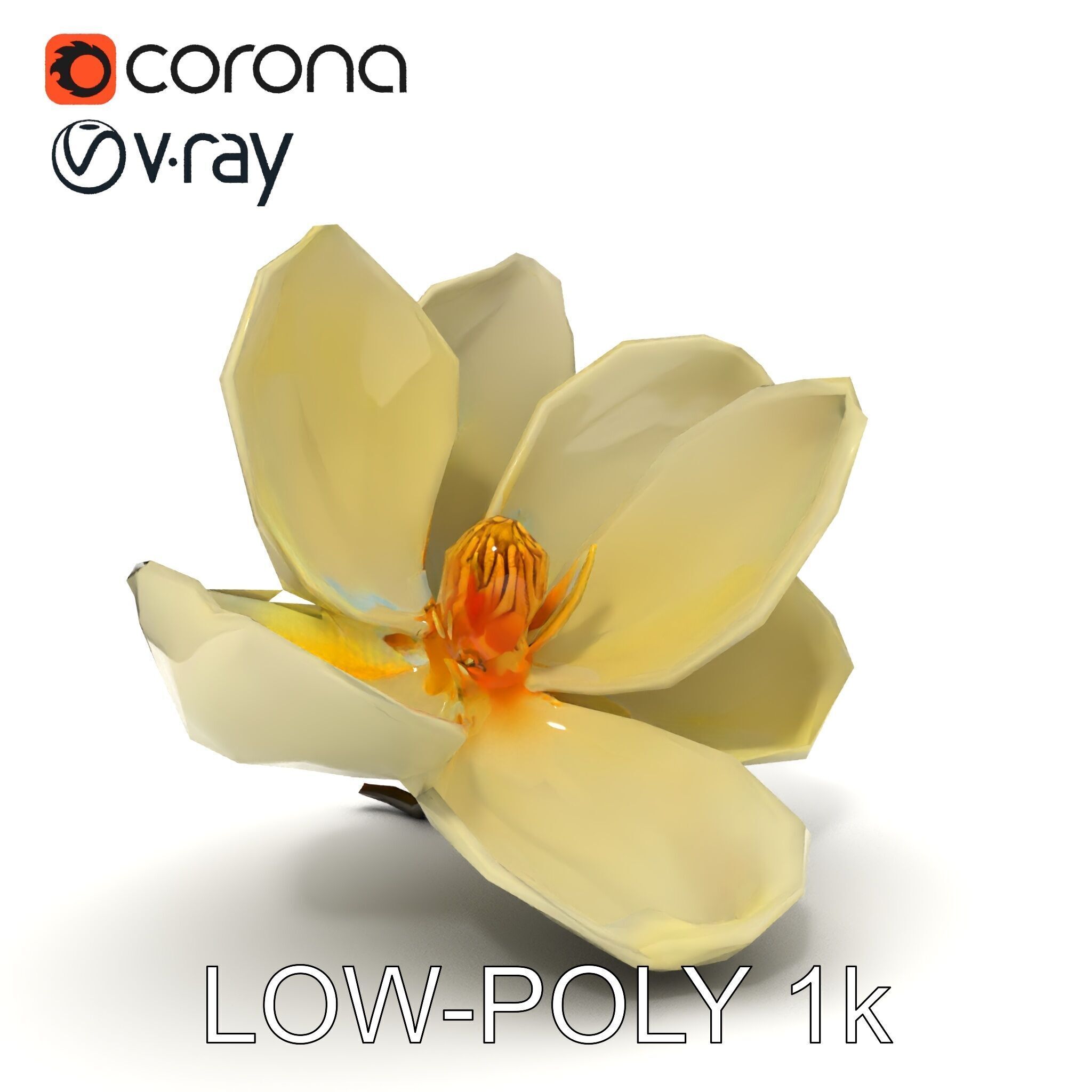 White Magnolia Flower Model Pack Low-poly 3D model_33