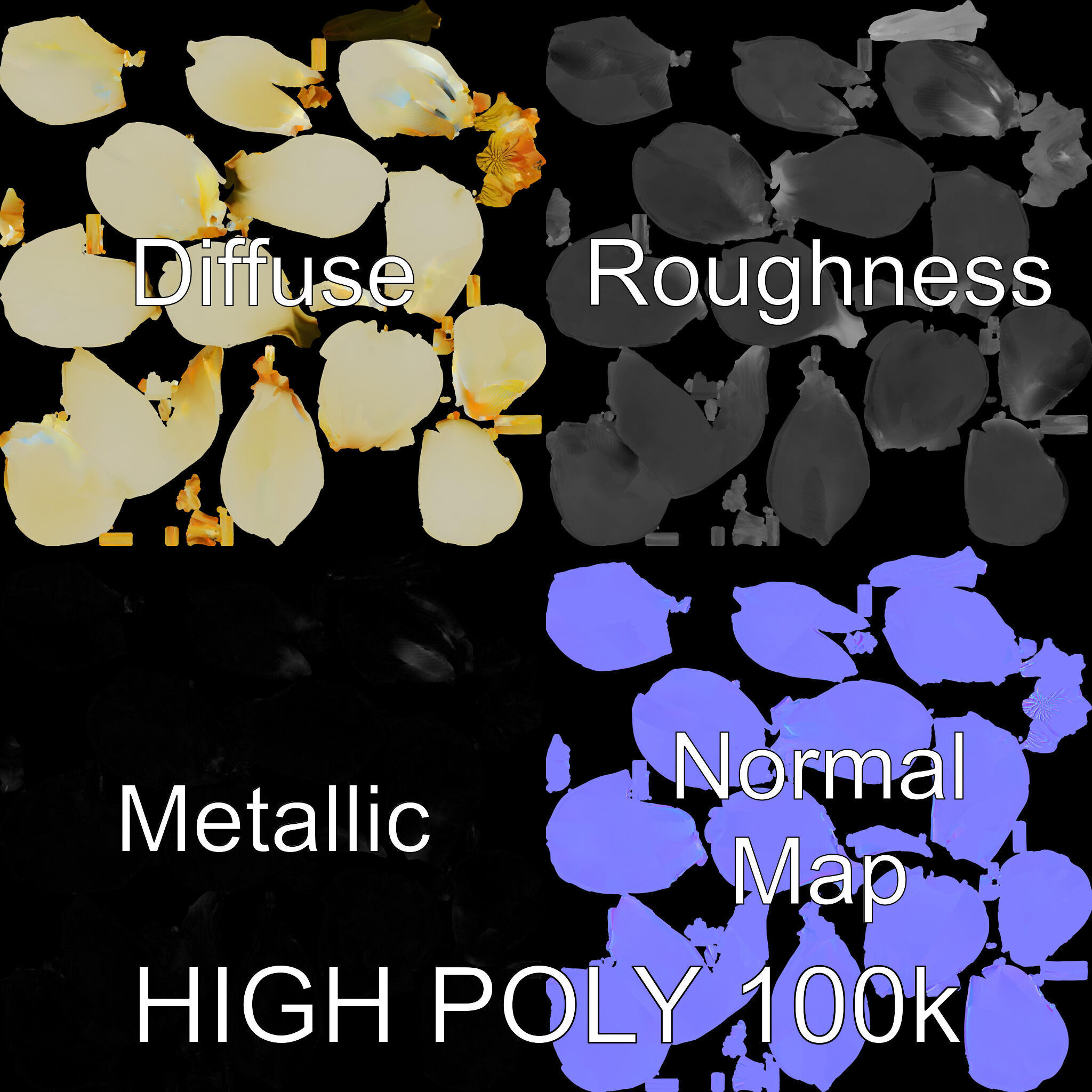 White Magnolia Flower Model Pack Low-poly 3D model_2