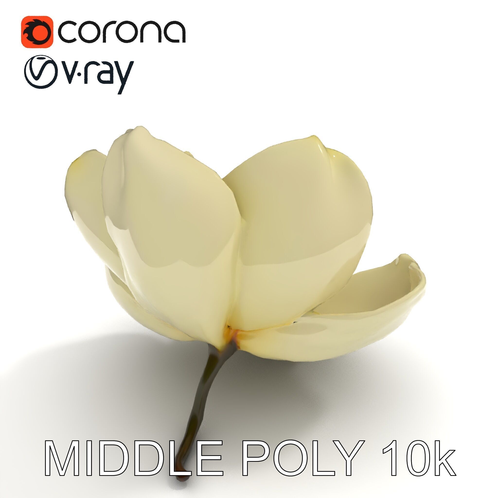 White Magnolia Flower Model Pack Low-poly 3D model_30