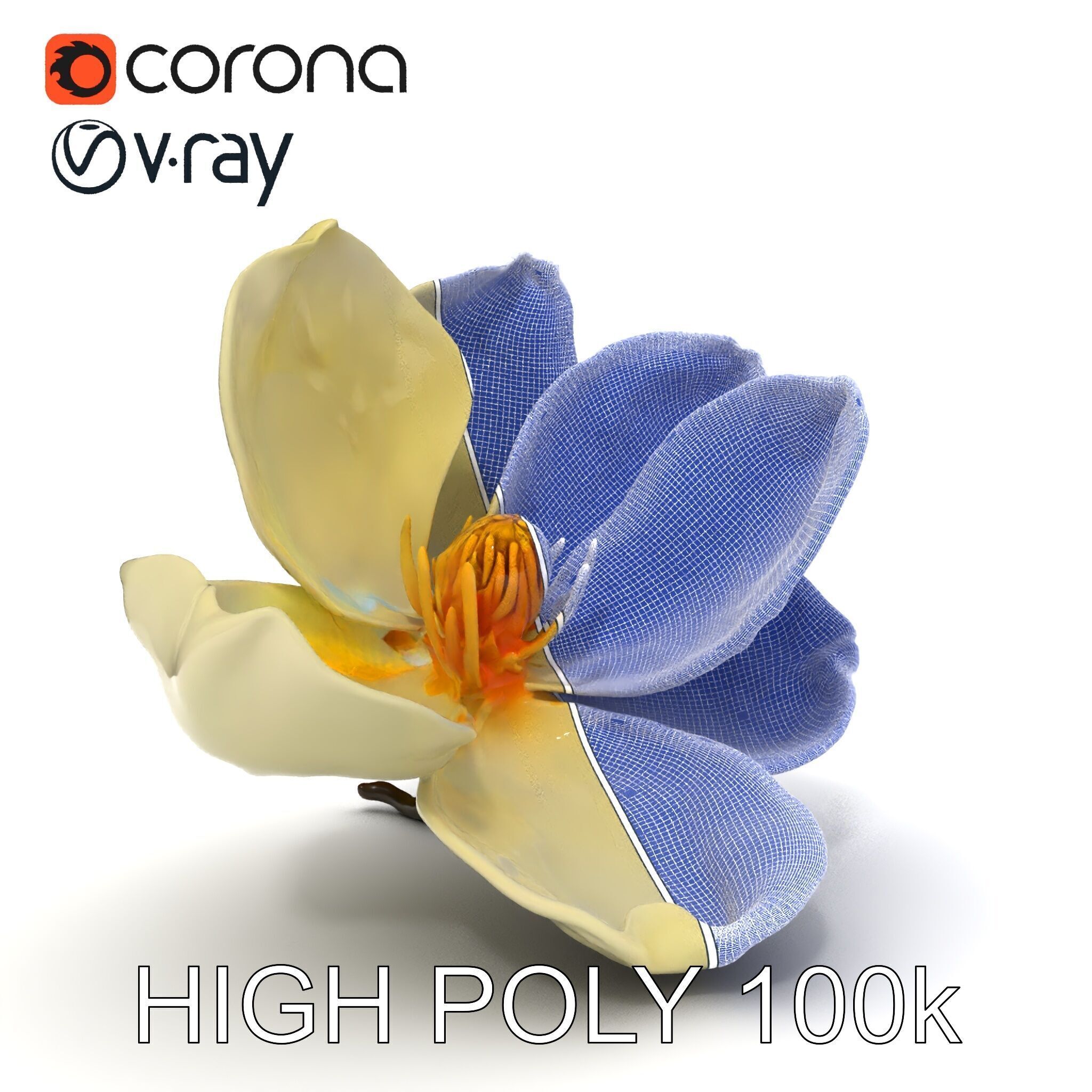 White Magnolia Flower Model Pack Low-poly 3D model_18