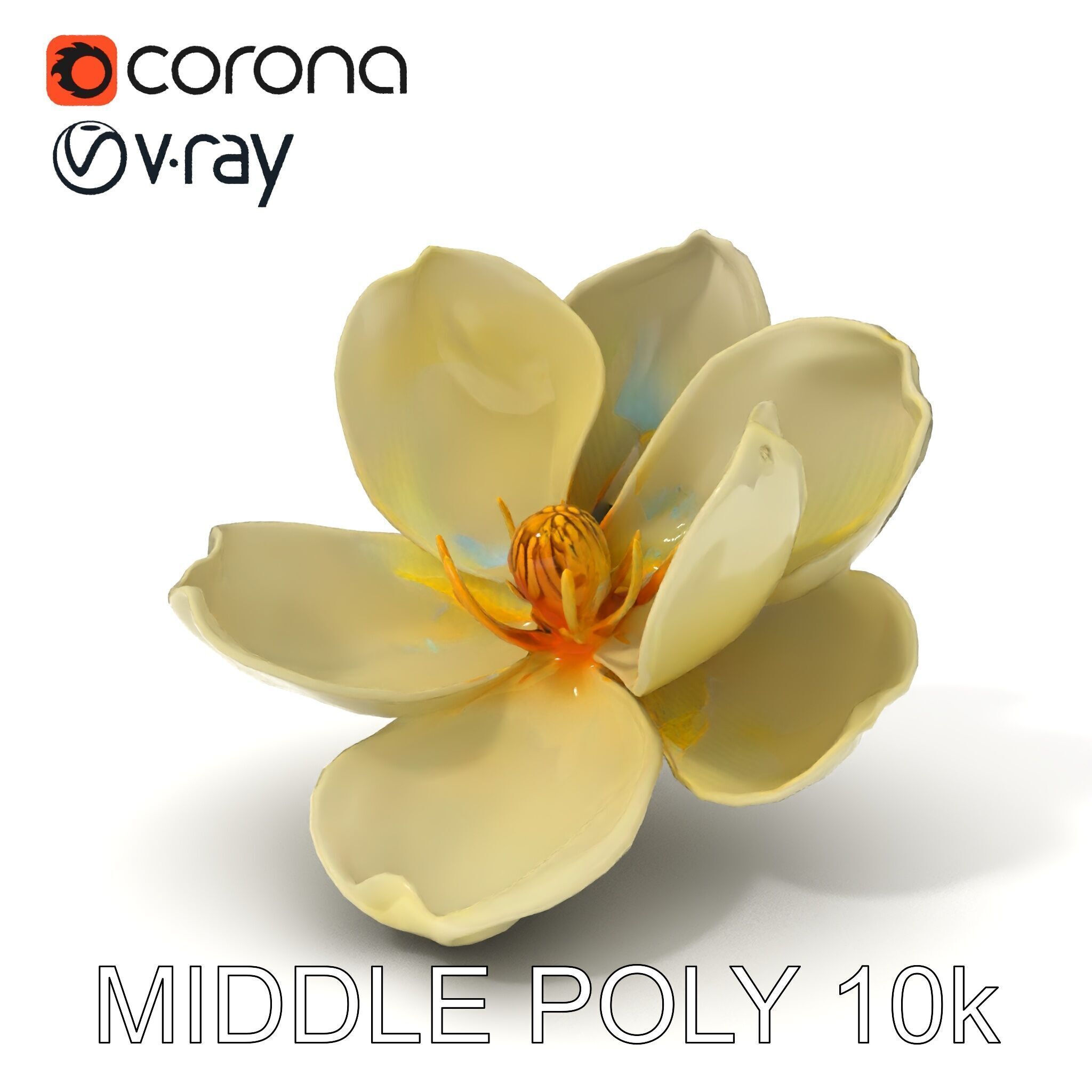 White Magnolia Flower Model Pack Low-poly 3D model_21