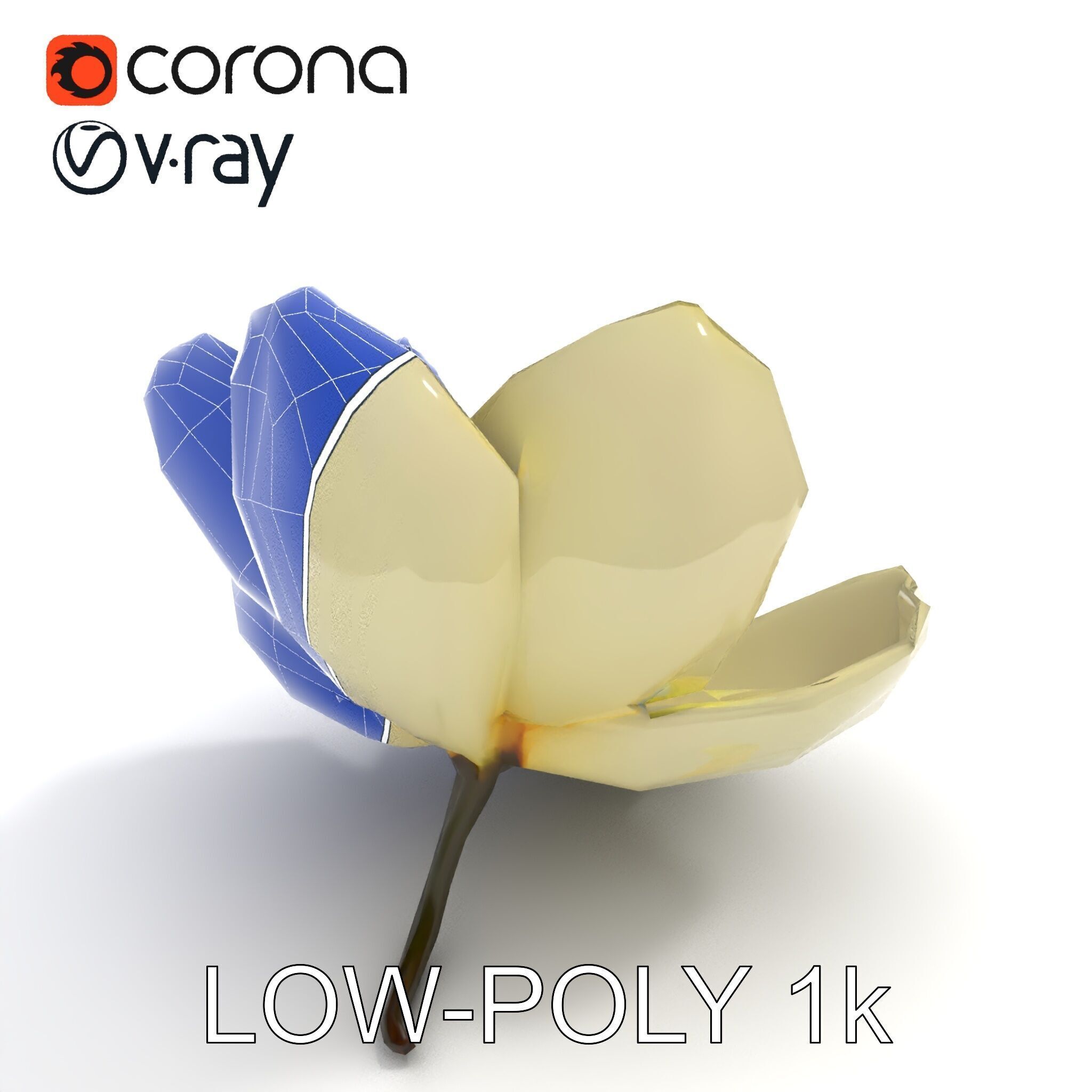 White Magnolia Flower Model Pack Low-poly 3D model_7