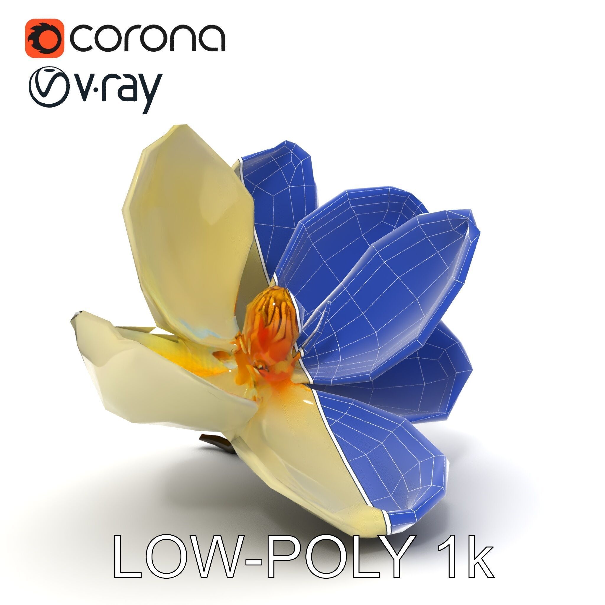 White Magnolia Flower Model Pack Low-poly 3D model_17