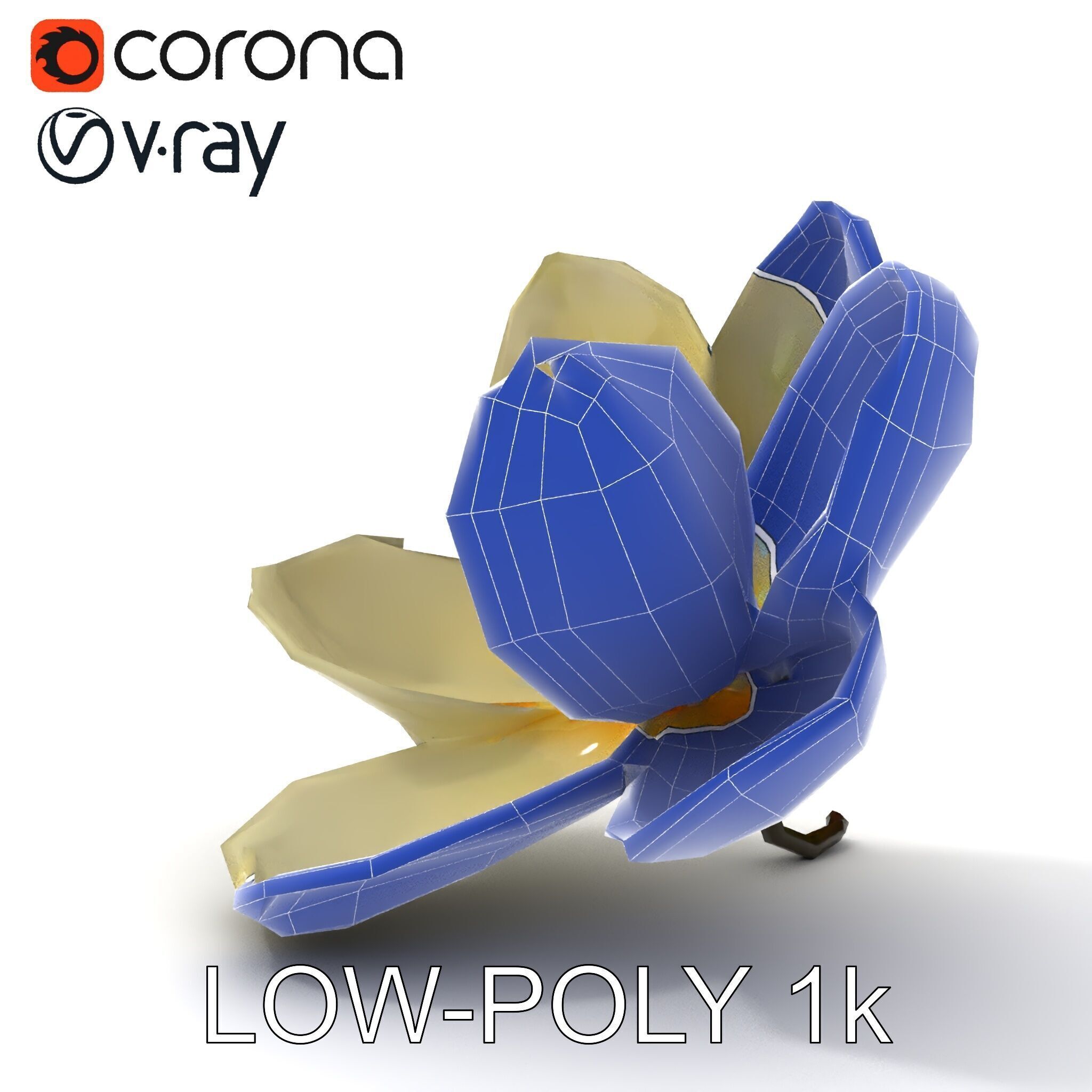 White Magnolia Flower Model Pack Low-poly 3D model_9