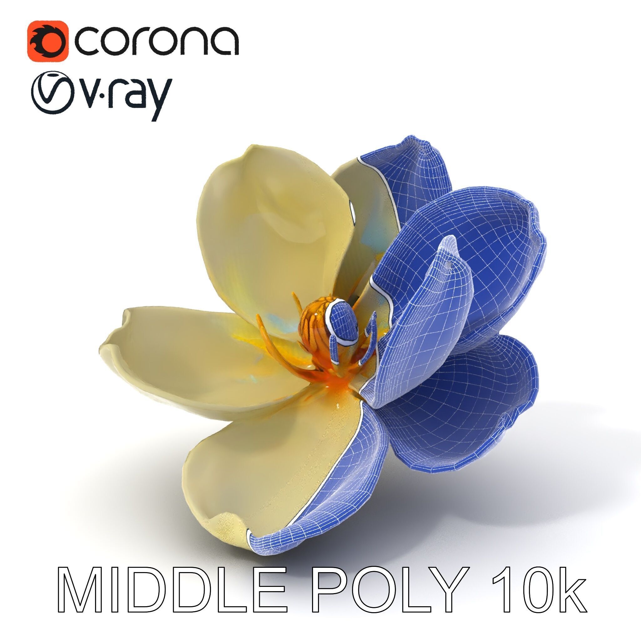 White Magnolia Flower Model Pack Low-poly 3D model_24