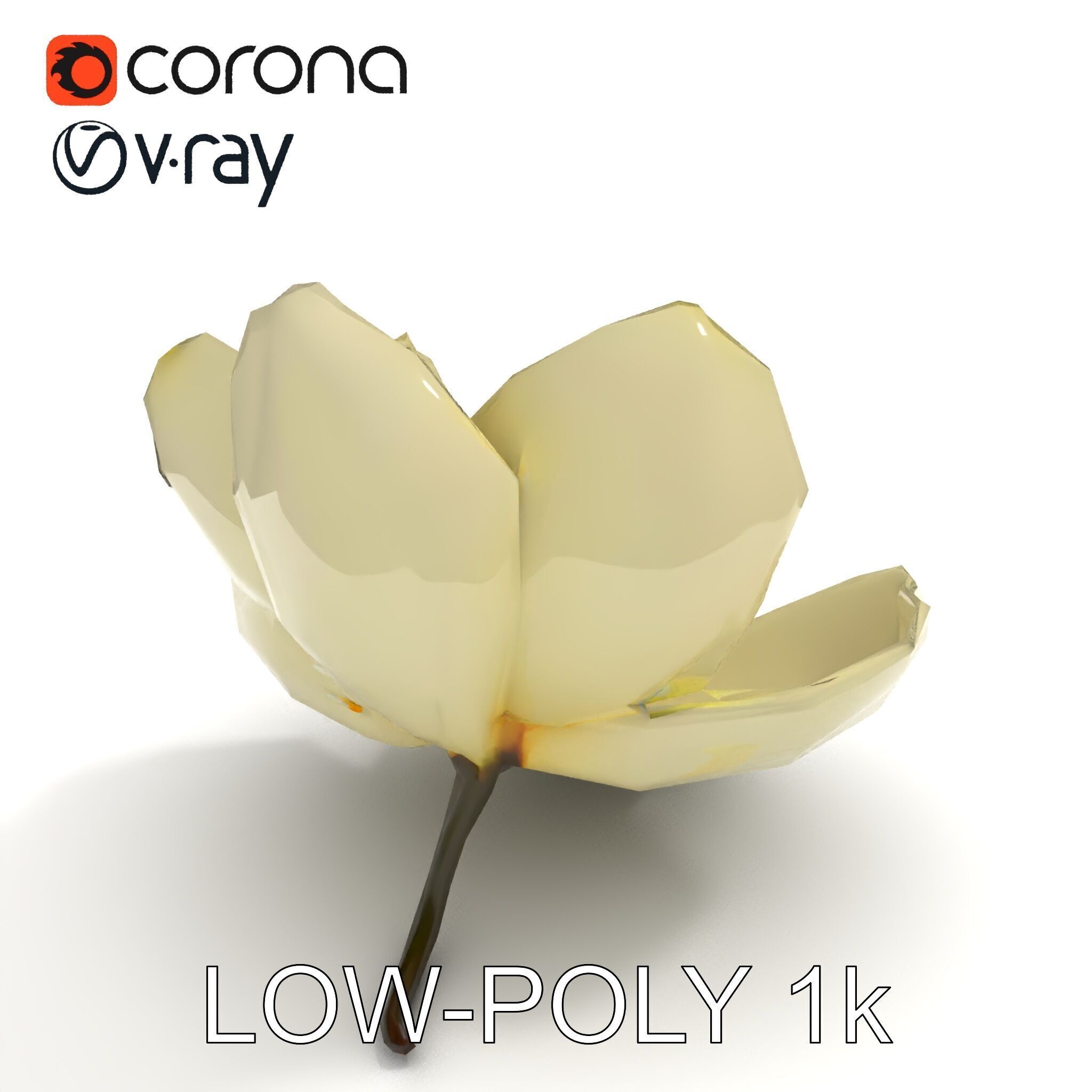 White Magnolia Flower Model Pack Low-poly 3D model_14