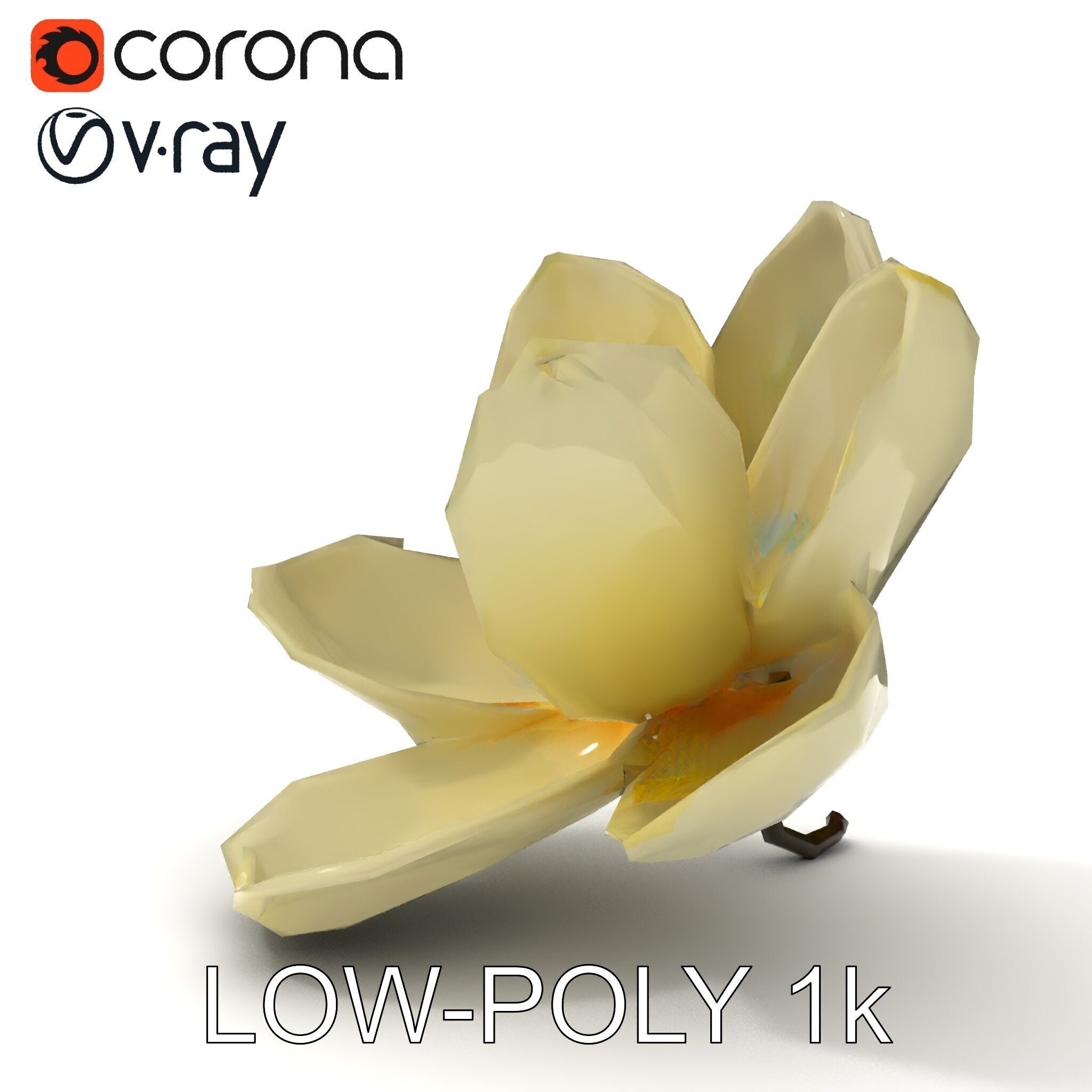 White Magnolia Flower Model Pack Low-poly 3D model_31