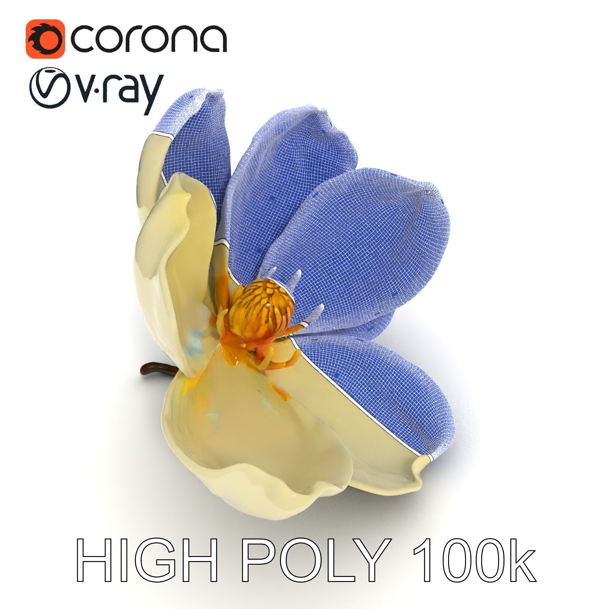 White Magnolia Flower Model Pack Low-poly 3D model_23
