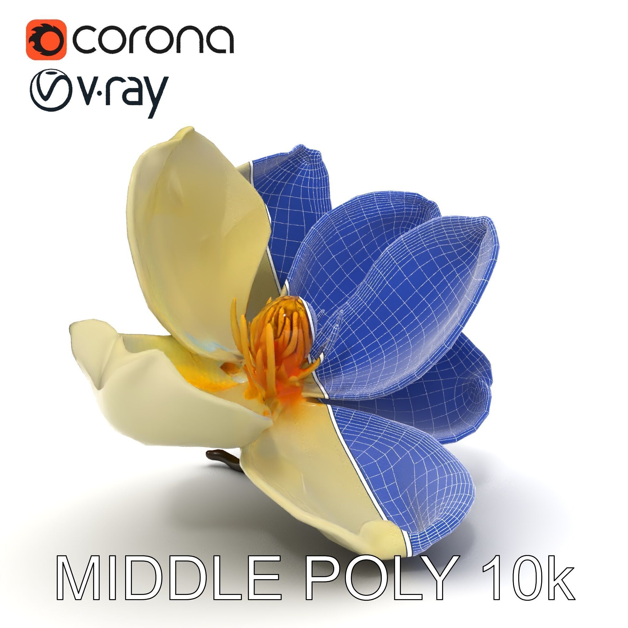 White Magnolia Flower Model Pack Low-poly 3D model_6