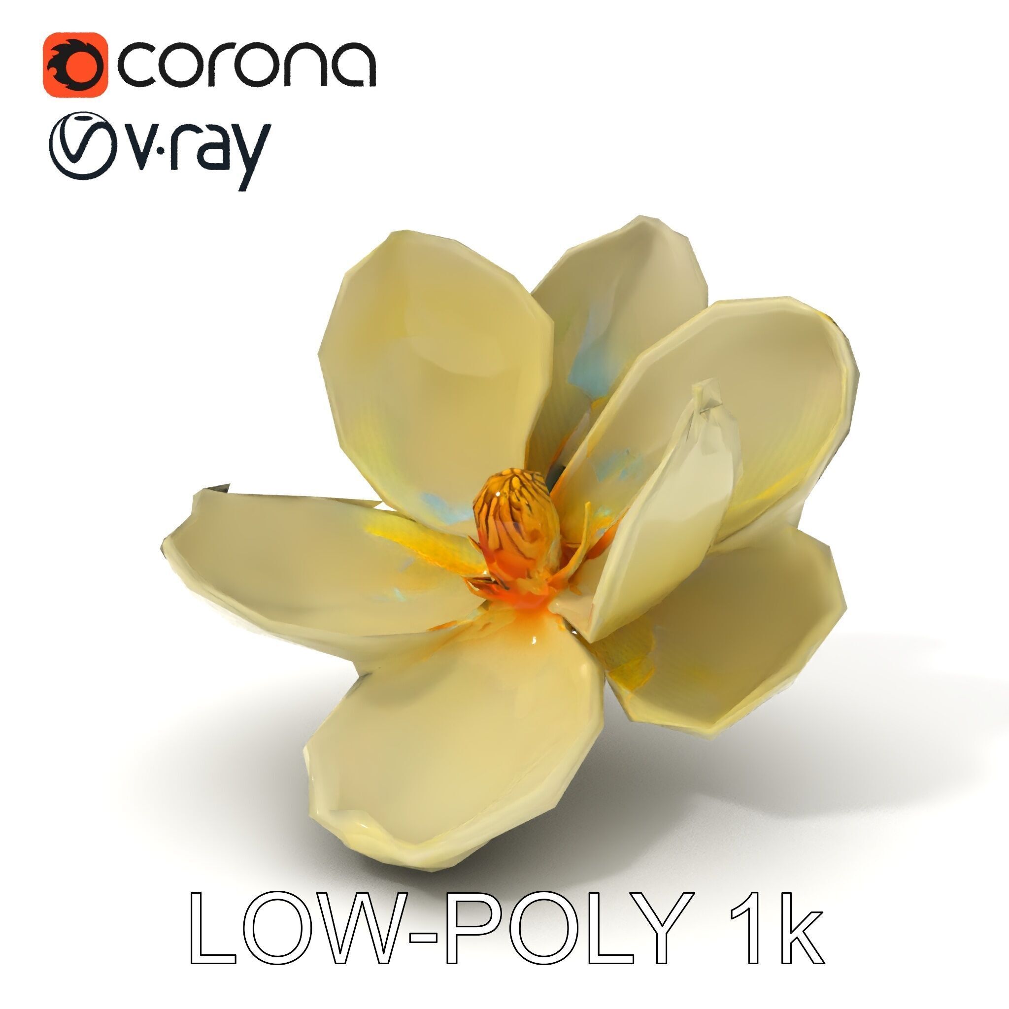 White Magnolia Flower Model Pack Low-poly 3D model_25