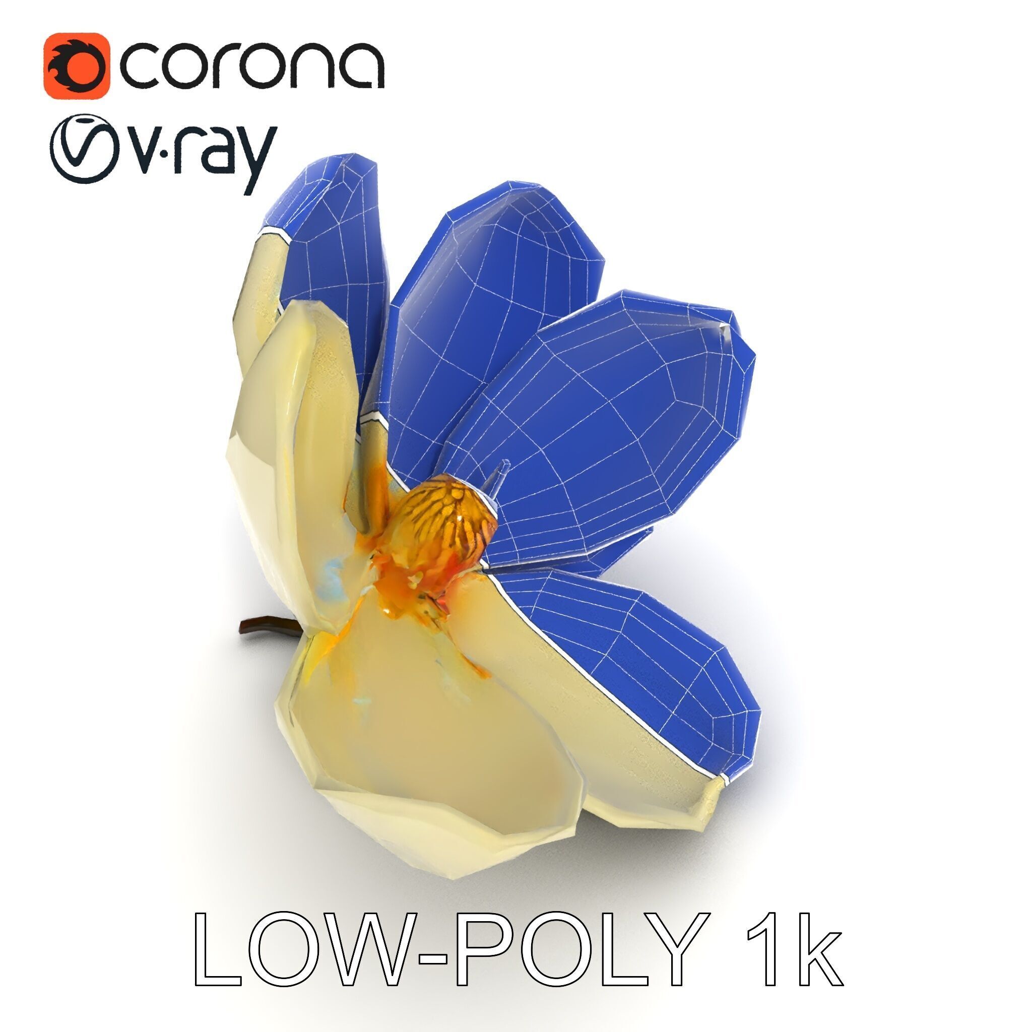 White Magnolia Flower Model Pack Low-poly 3D model_12
