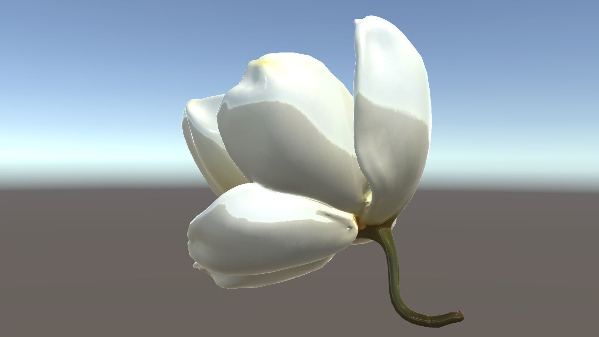 White Magnolia Flower Model Pack Low-poly 3D model_32