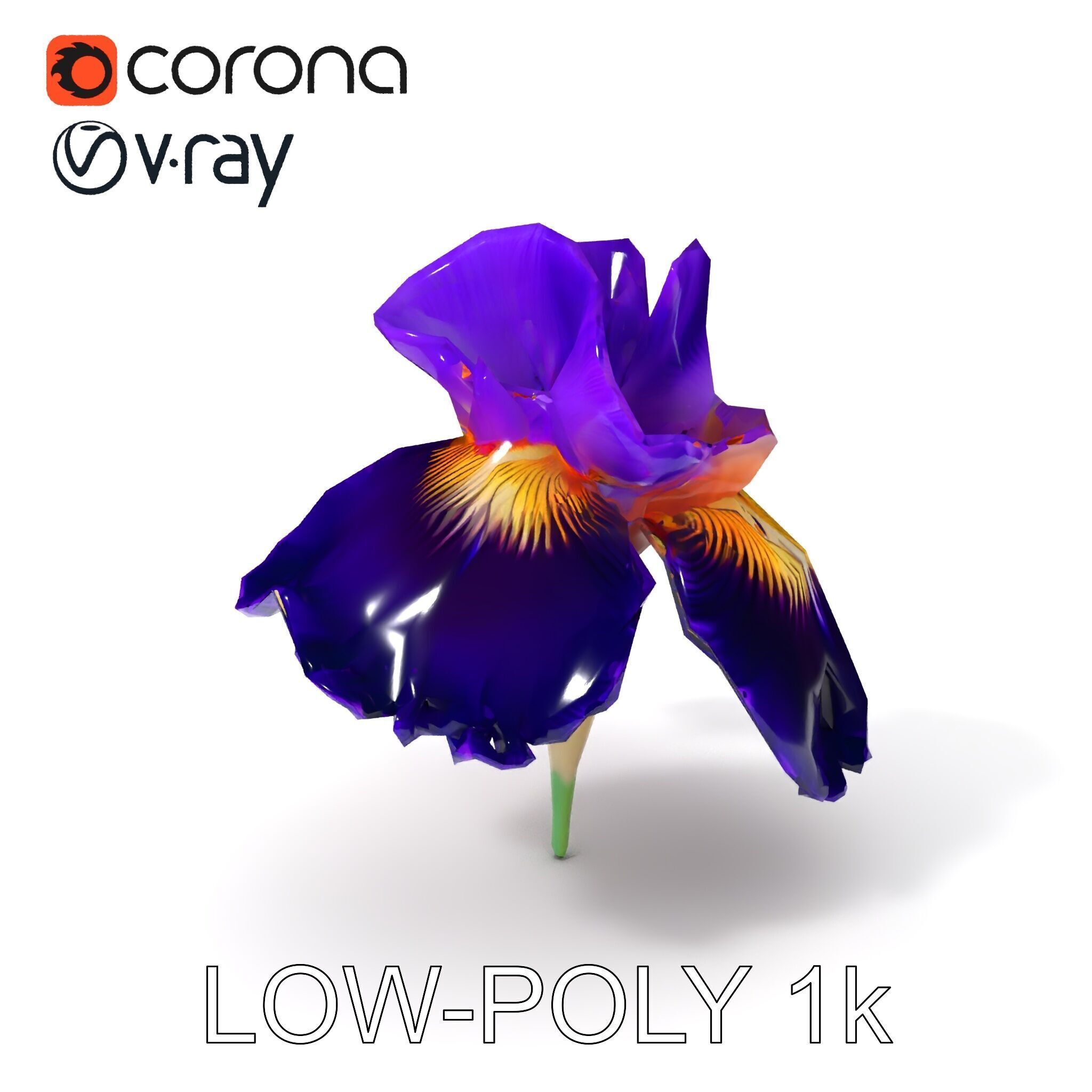 Iris Flower Model Pack with High Detail Textures Low-poly 3D model_18