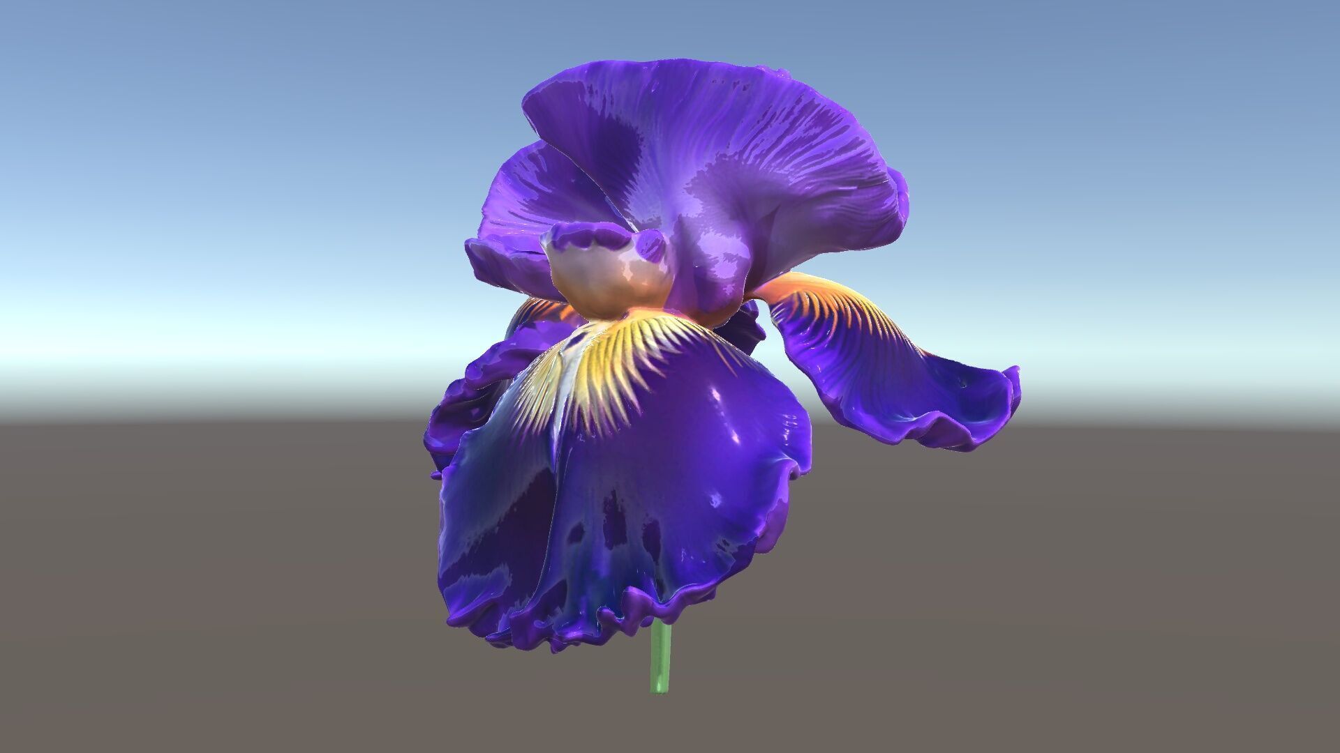 Iris Flower Model Pack with High Detail Textures Low-poly 3D model_5
