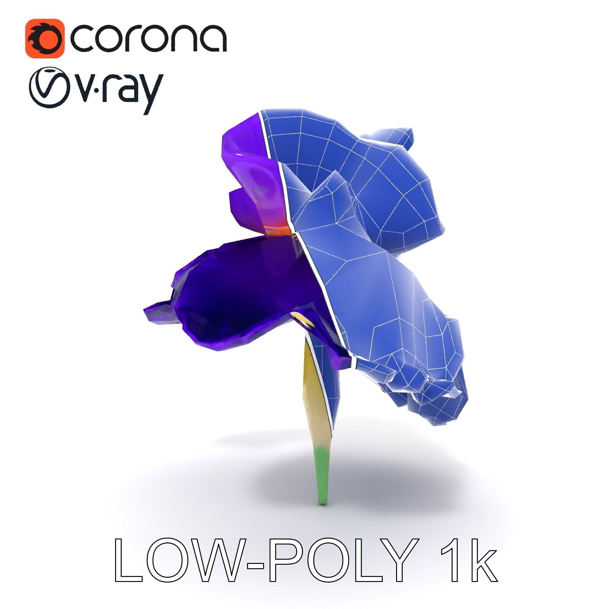 Iris Flower Model Pack with High Detail Textures Low-poly 3D model_16