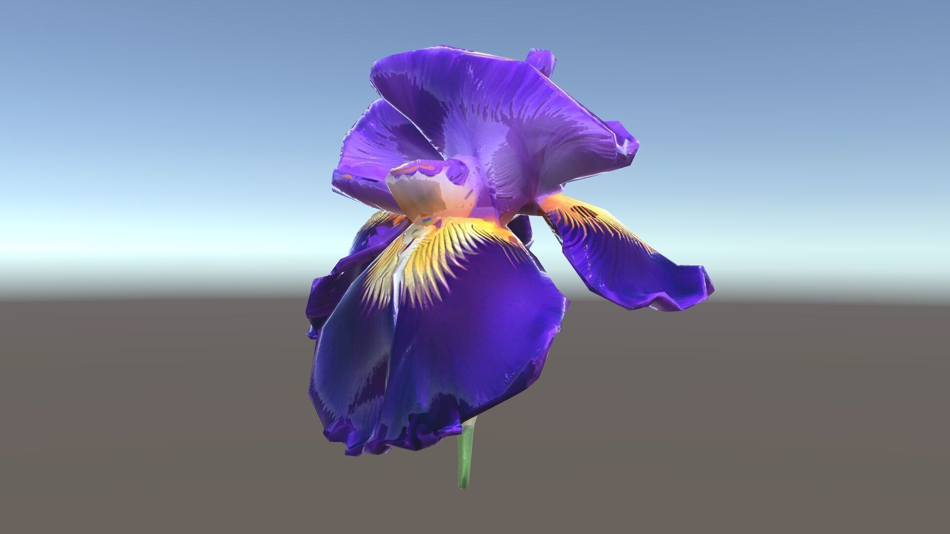 Iris Flower Model Pack with High Detail Textures Low-poly 3D model_29