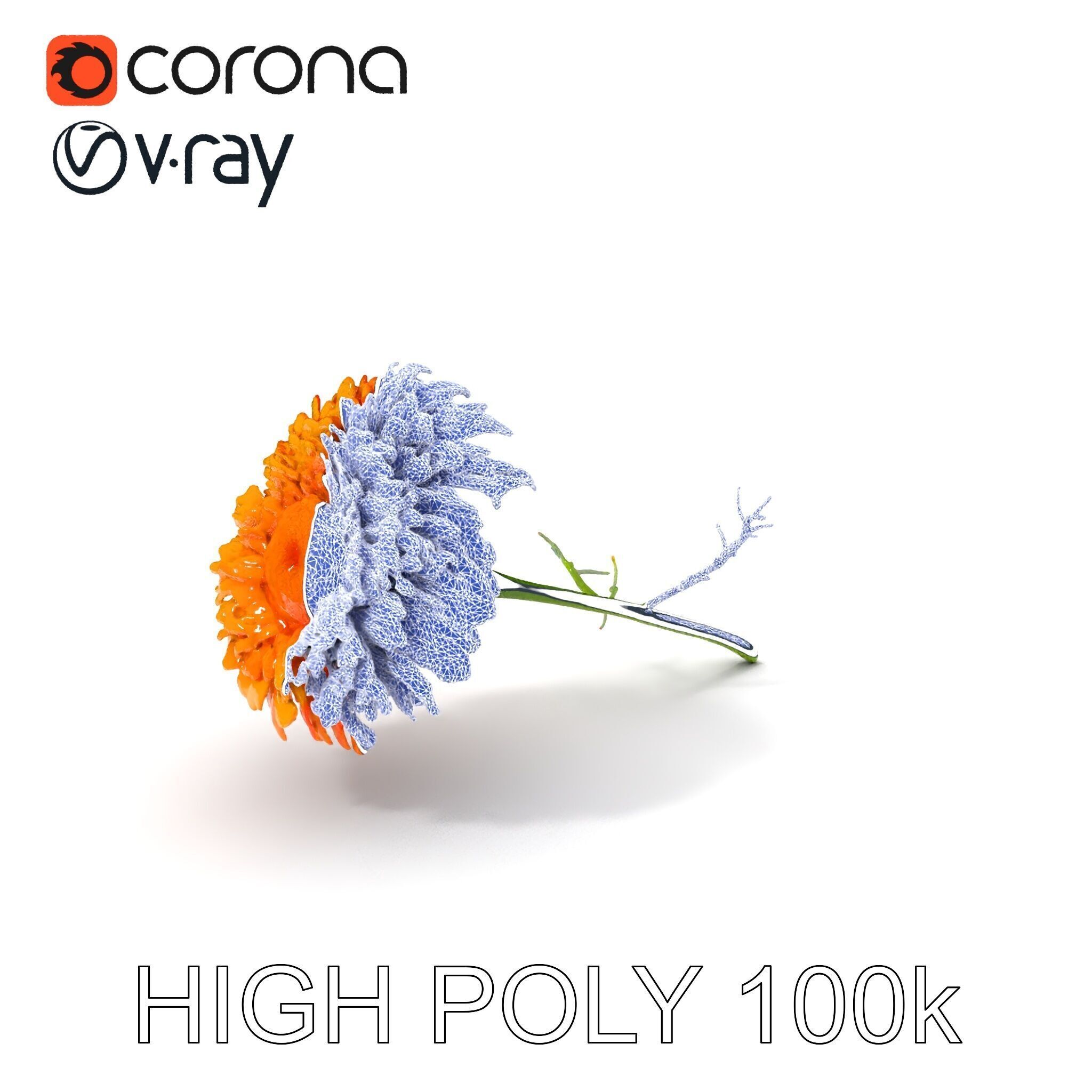Orange Gerbera Daisy D Model Pack Low-poly 3D model_13