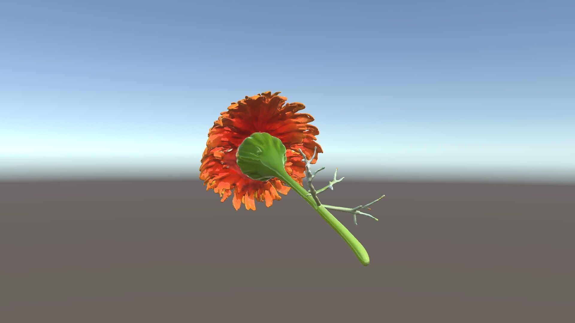 Orange Gerbera Daisy D Model Pack Low-poly 3D model_22