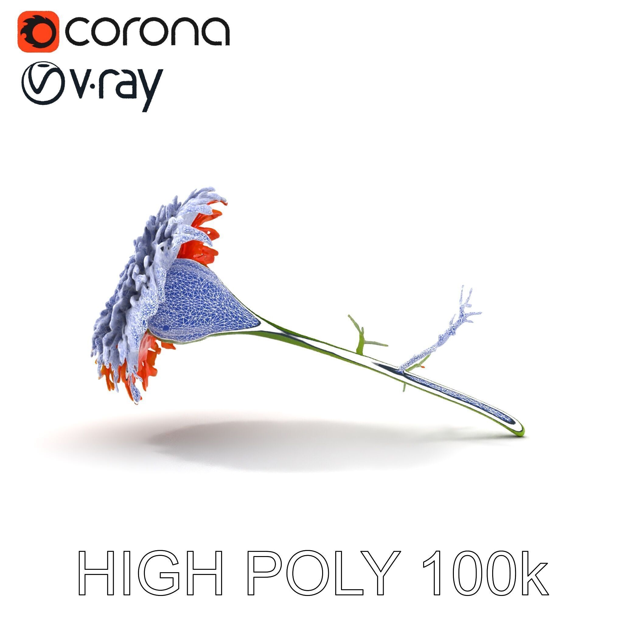 Orange Gerbera Daisy D Model Pack Low-poly 3D model_35