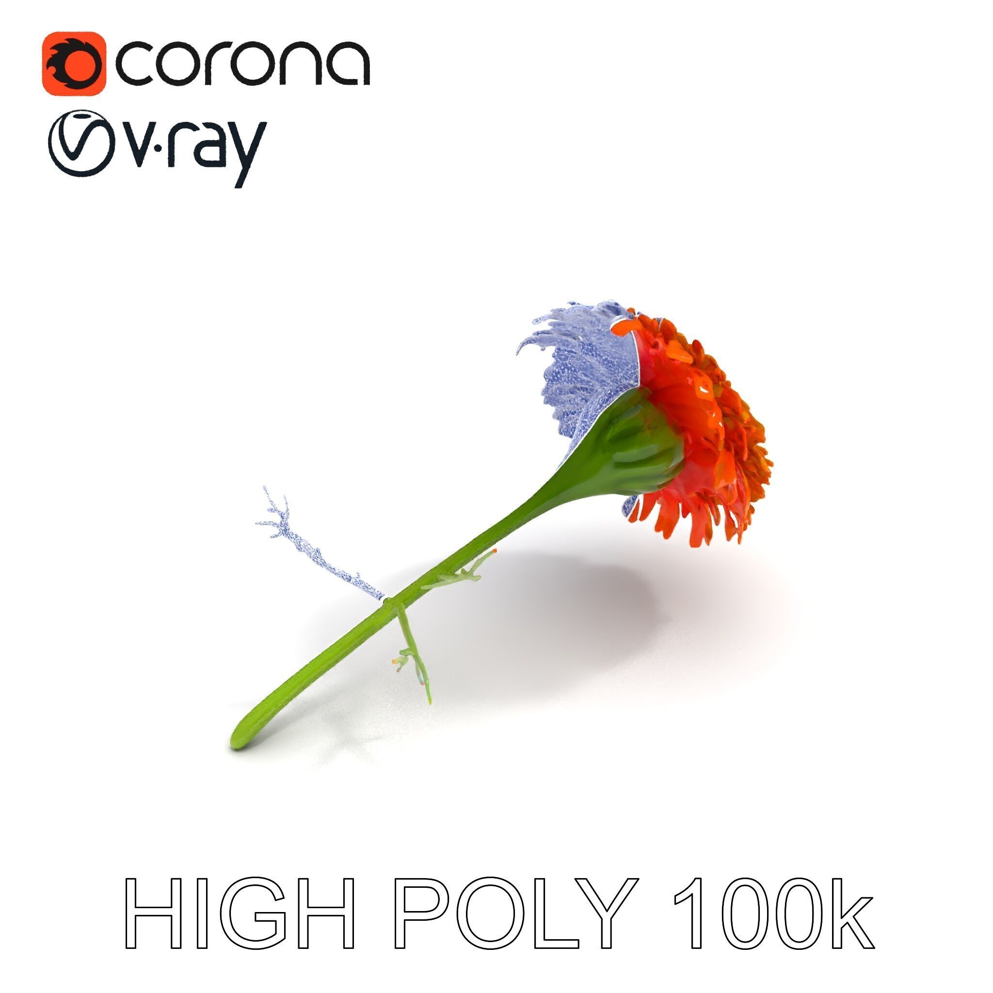 Orange Gerbera Daisy D Model Pack Low-poly 3D model_26
