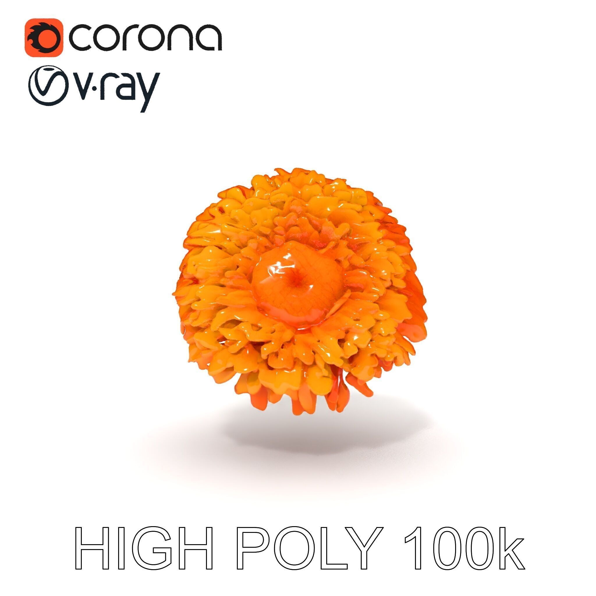 Orange Gerbera Daisy D Model Pack Low-poly 3D model_17