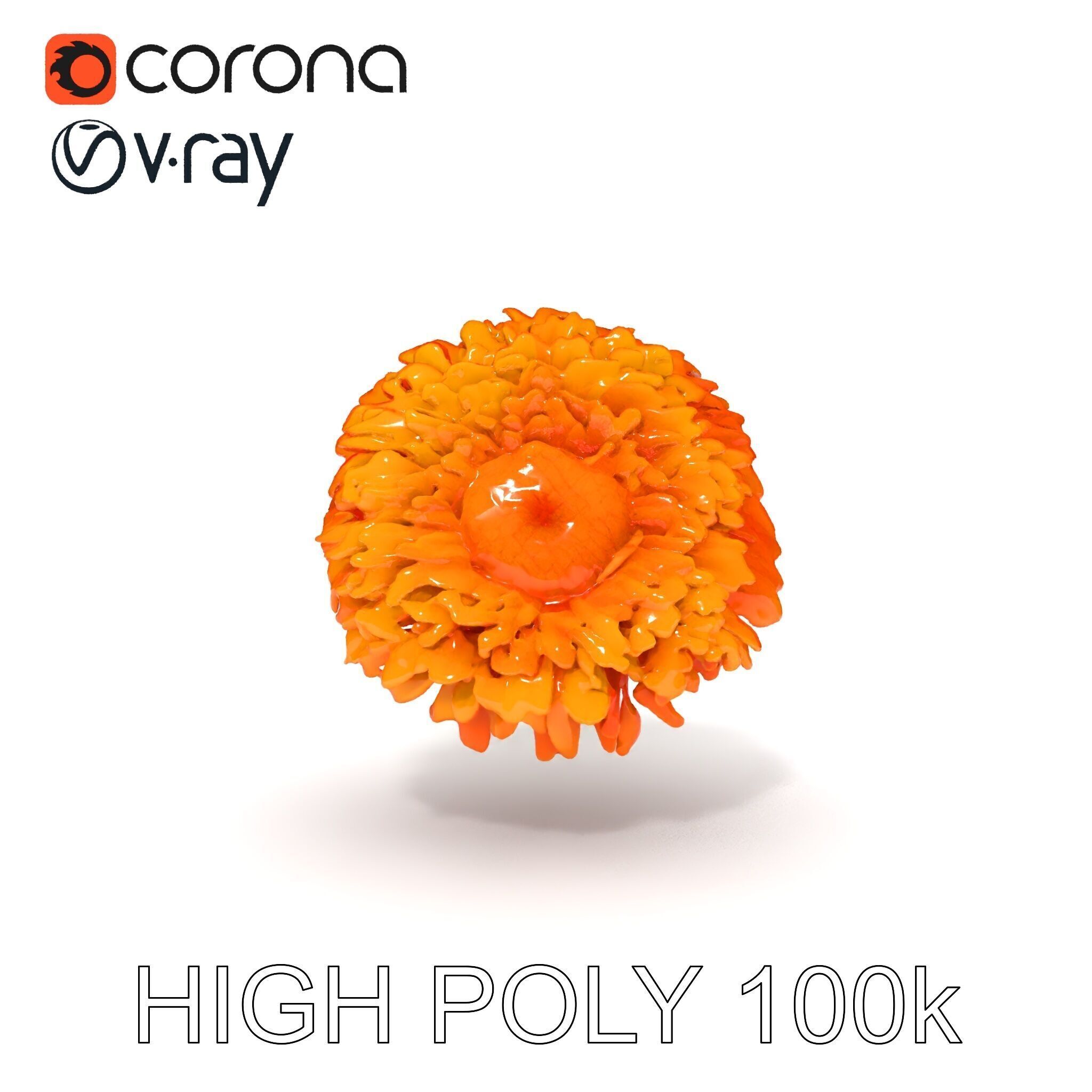 Orange Gerbera Daisy D Model Pack Low-poly 3D model_31