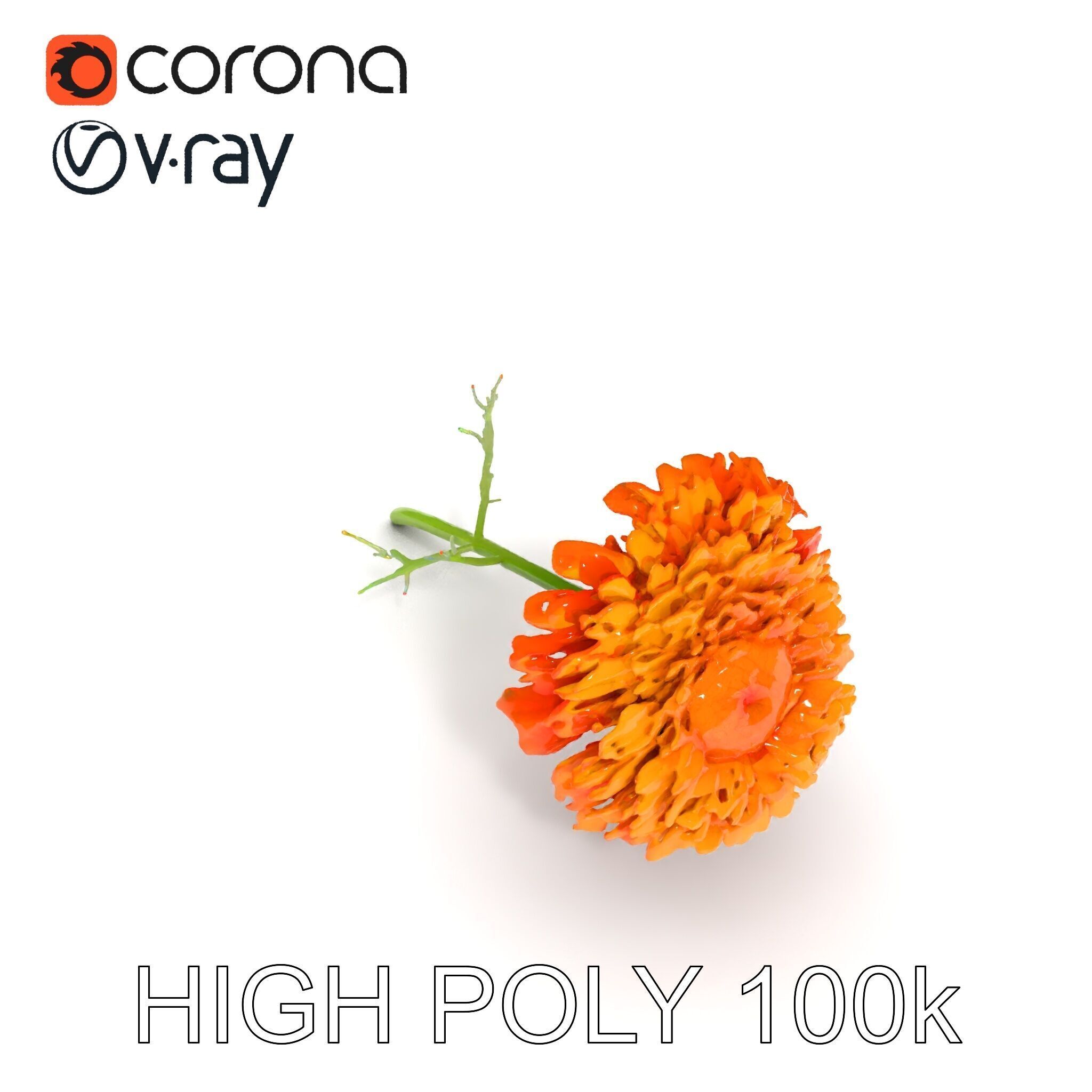 Orange Gerbera Daisy D Model Pack Low-poly 3D model_25