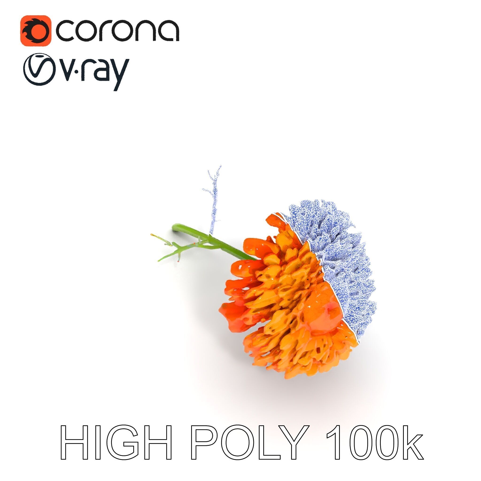 Orange Gerbera Daisy D Model Pack Low-poly 3D model_9