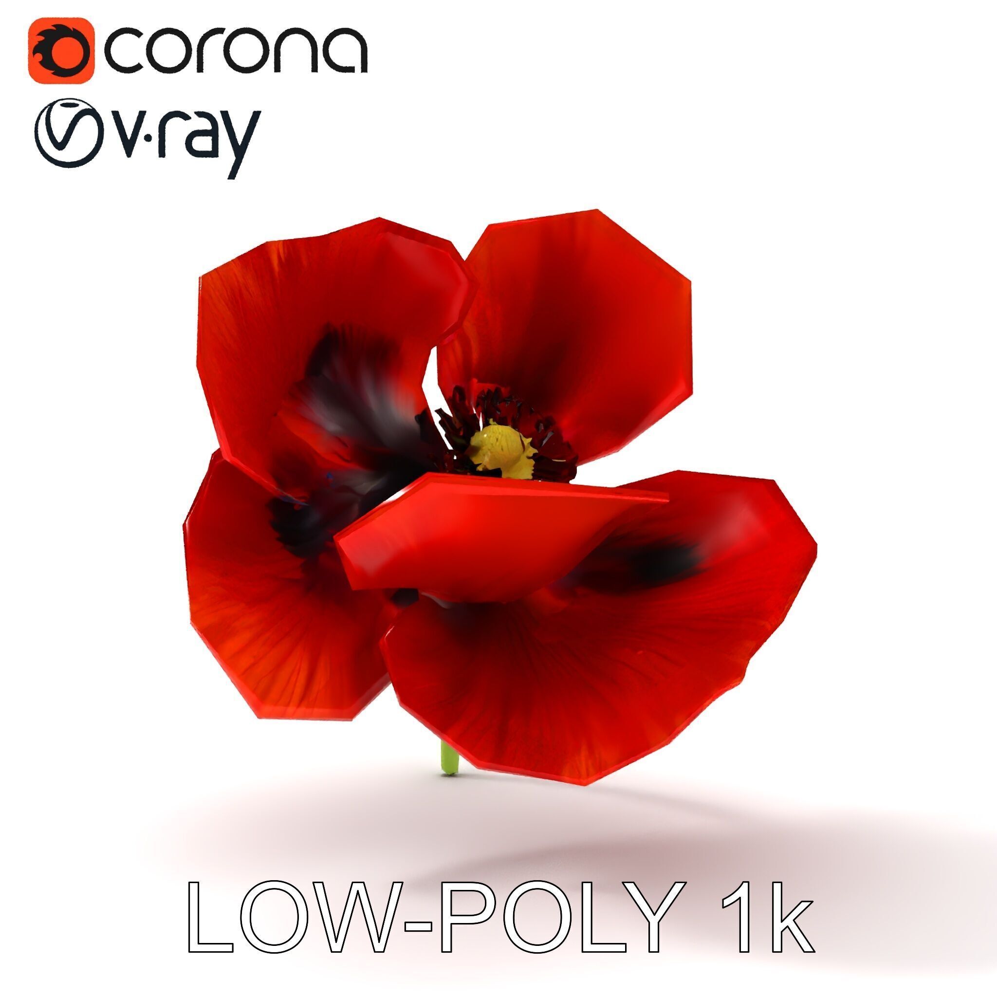 Poppy Flower D Model Pack Low-poly 3D model_31
