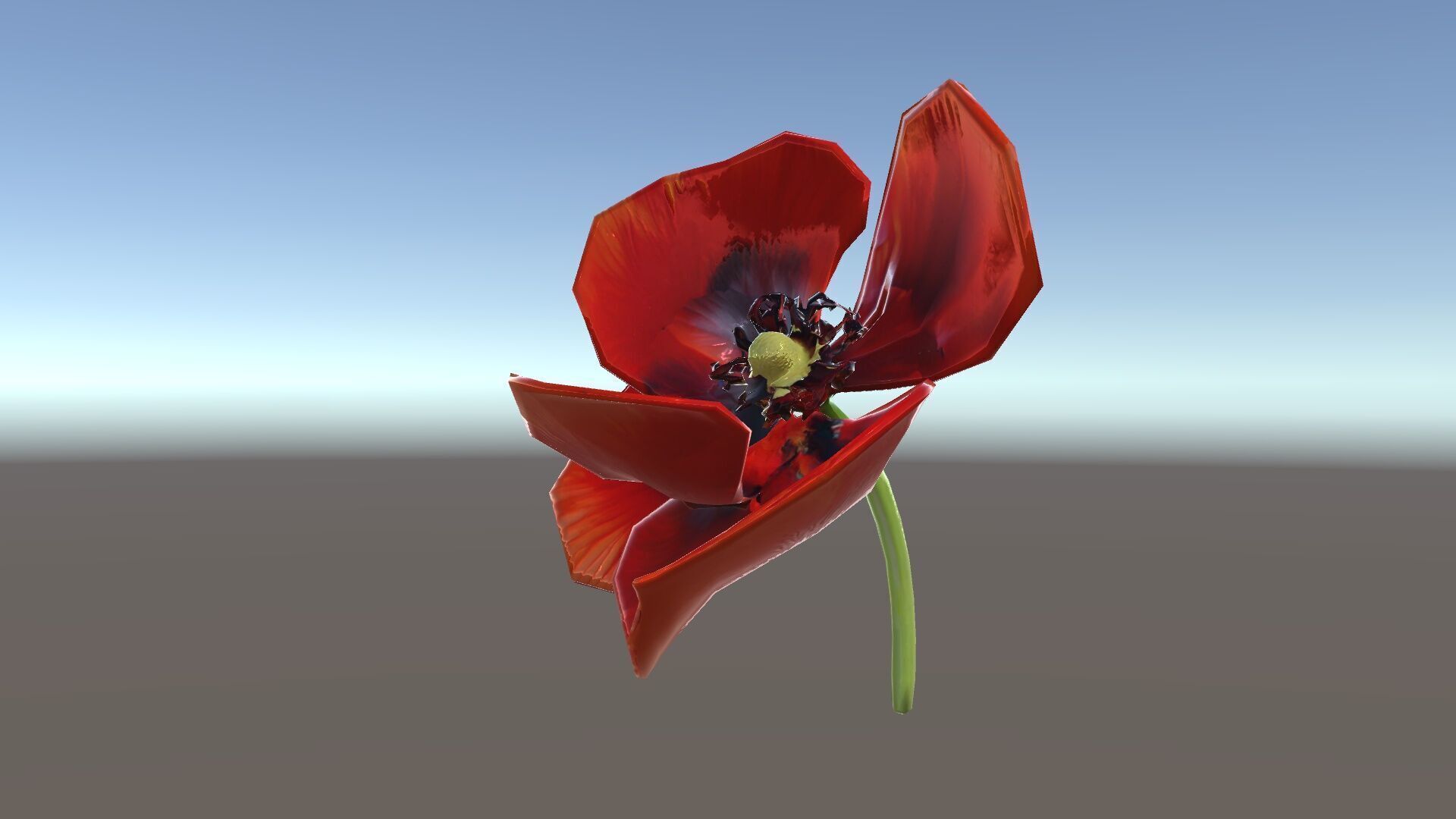 Poppy Flower D Model Pack Low-poly 3D model_26