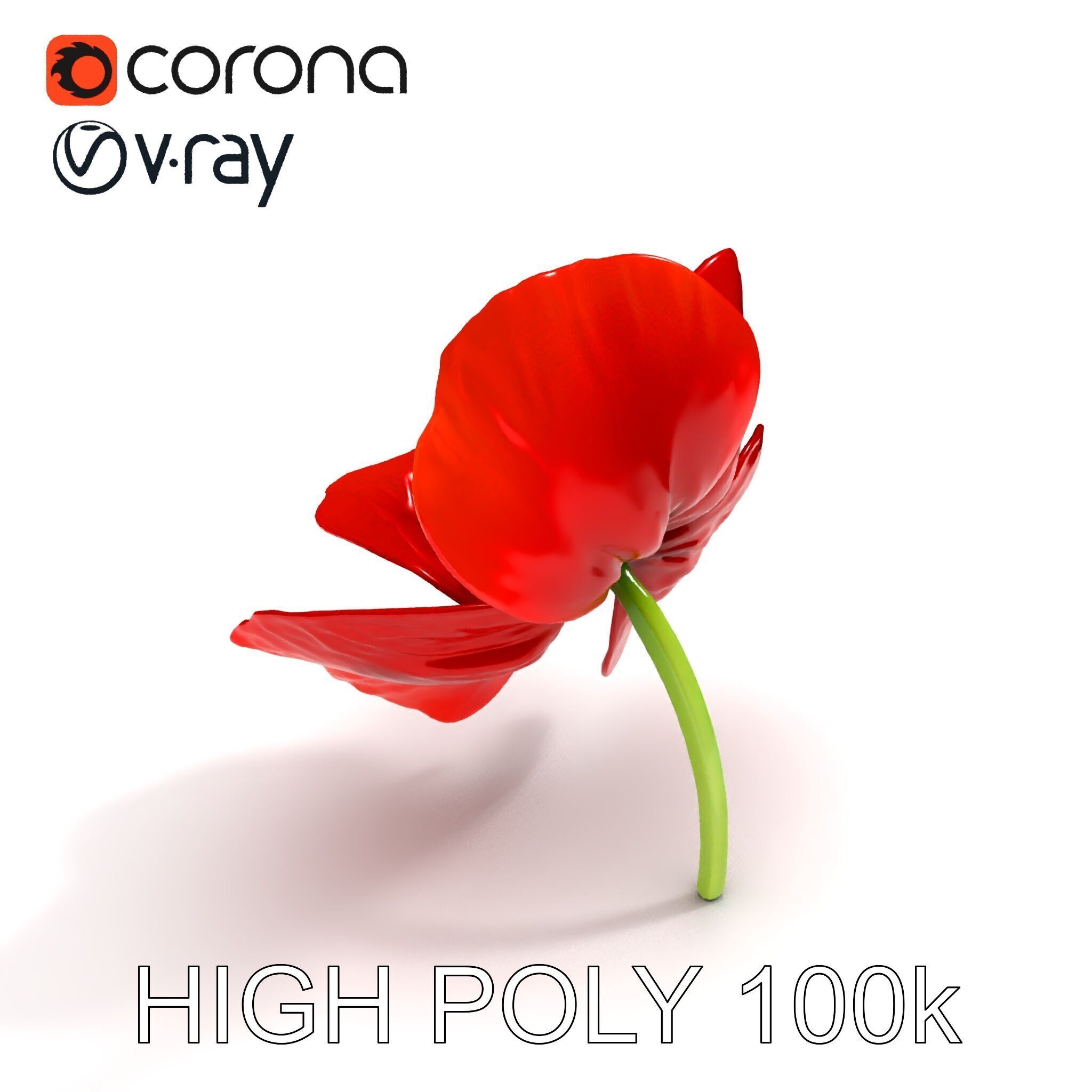 Poppy Flower D Model Pack Low-poly 3D model_21