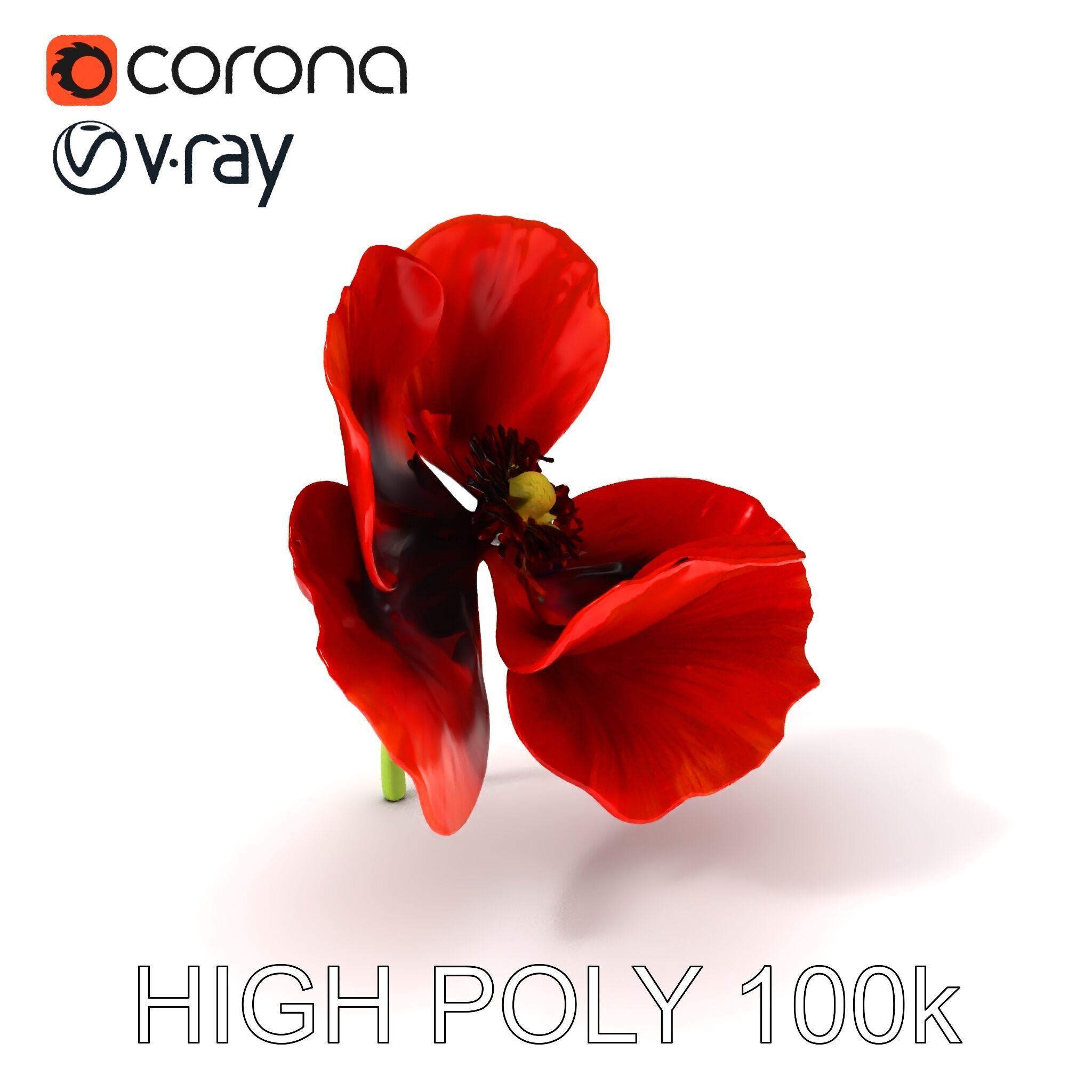 Poppy Flower D Model Pack Low-poly 3D model_3