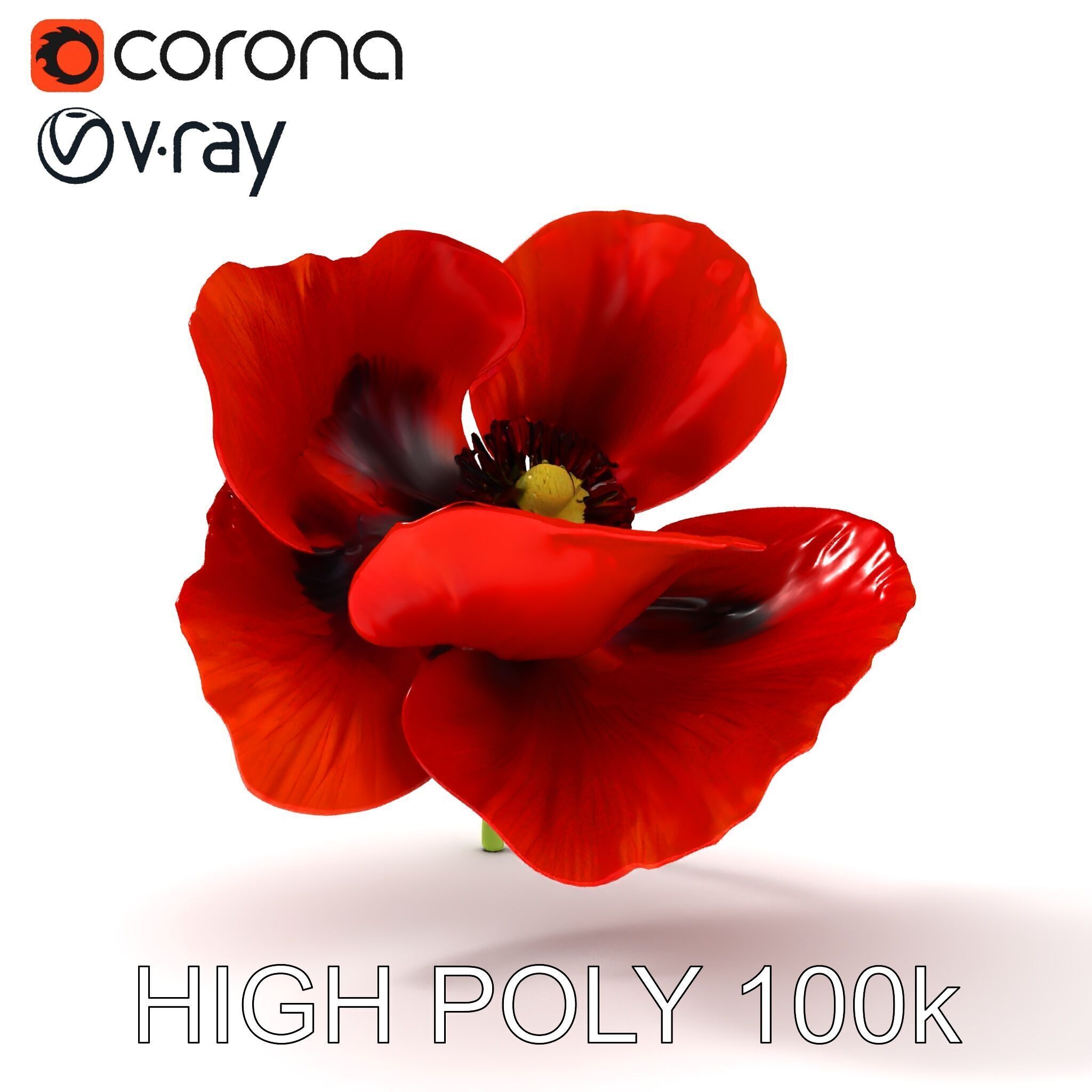 Poppy Flower D Model Pack Low-poly 3D model_24