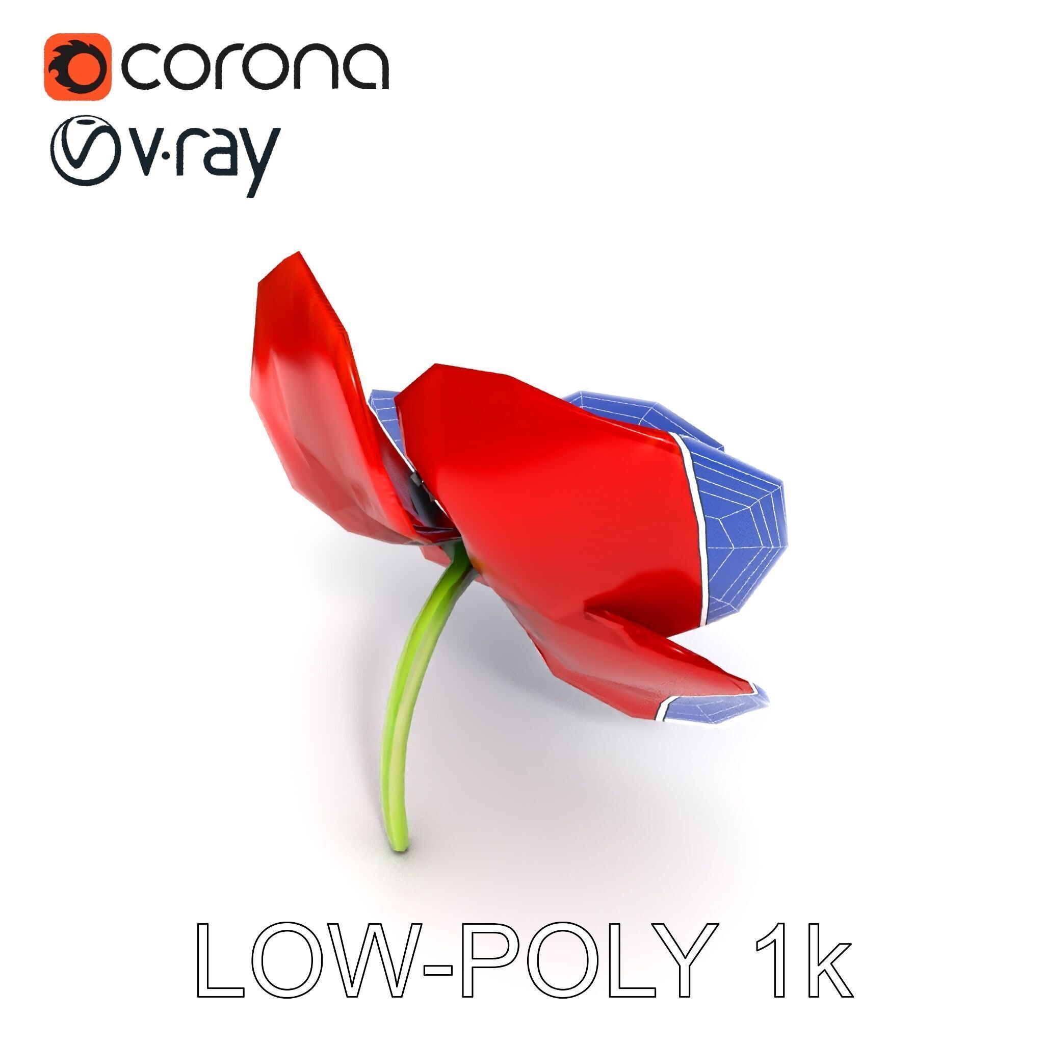 Poppy Flower D Model Pack Low-poly 3D model_15