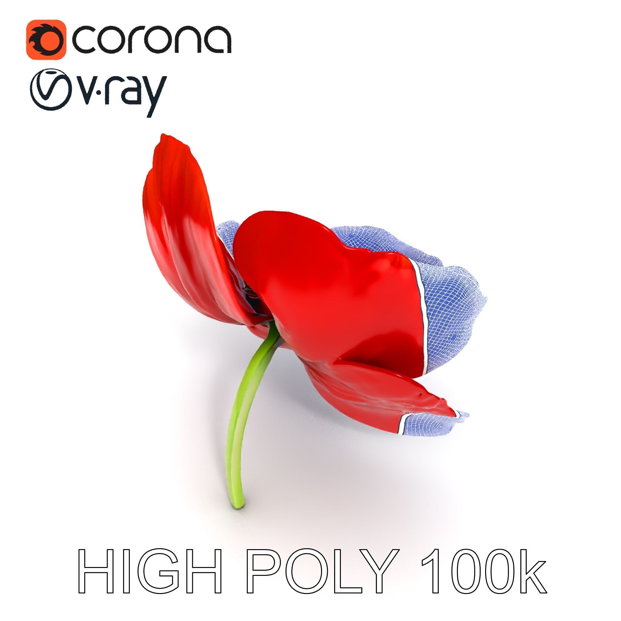 Poppy Flower D Model Pack Low-poly 3D model_10