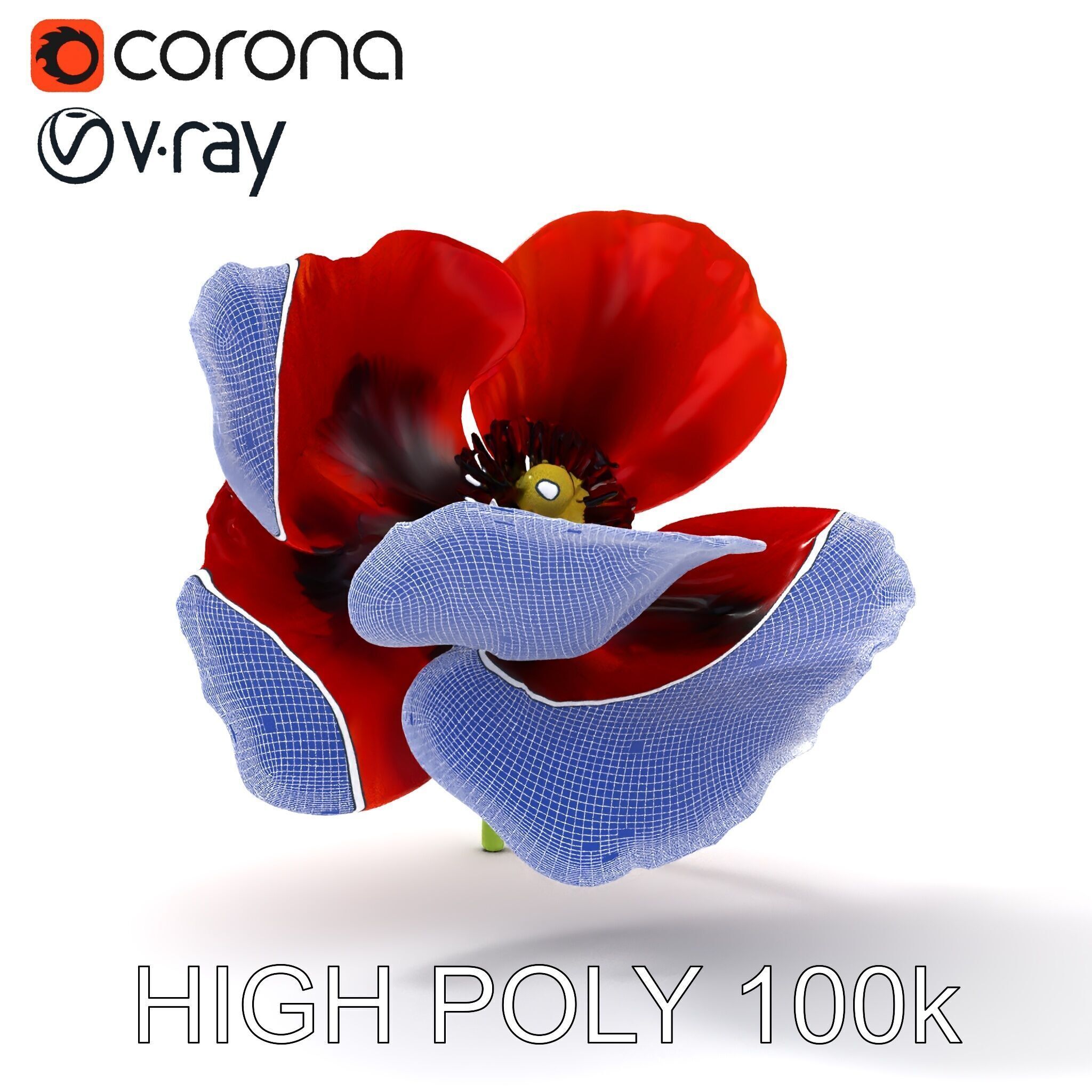 Poppy Flower D Model Pack Low-poly 3D model_29