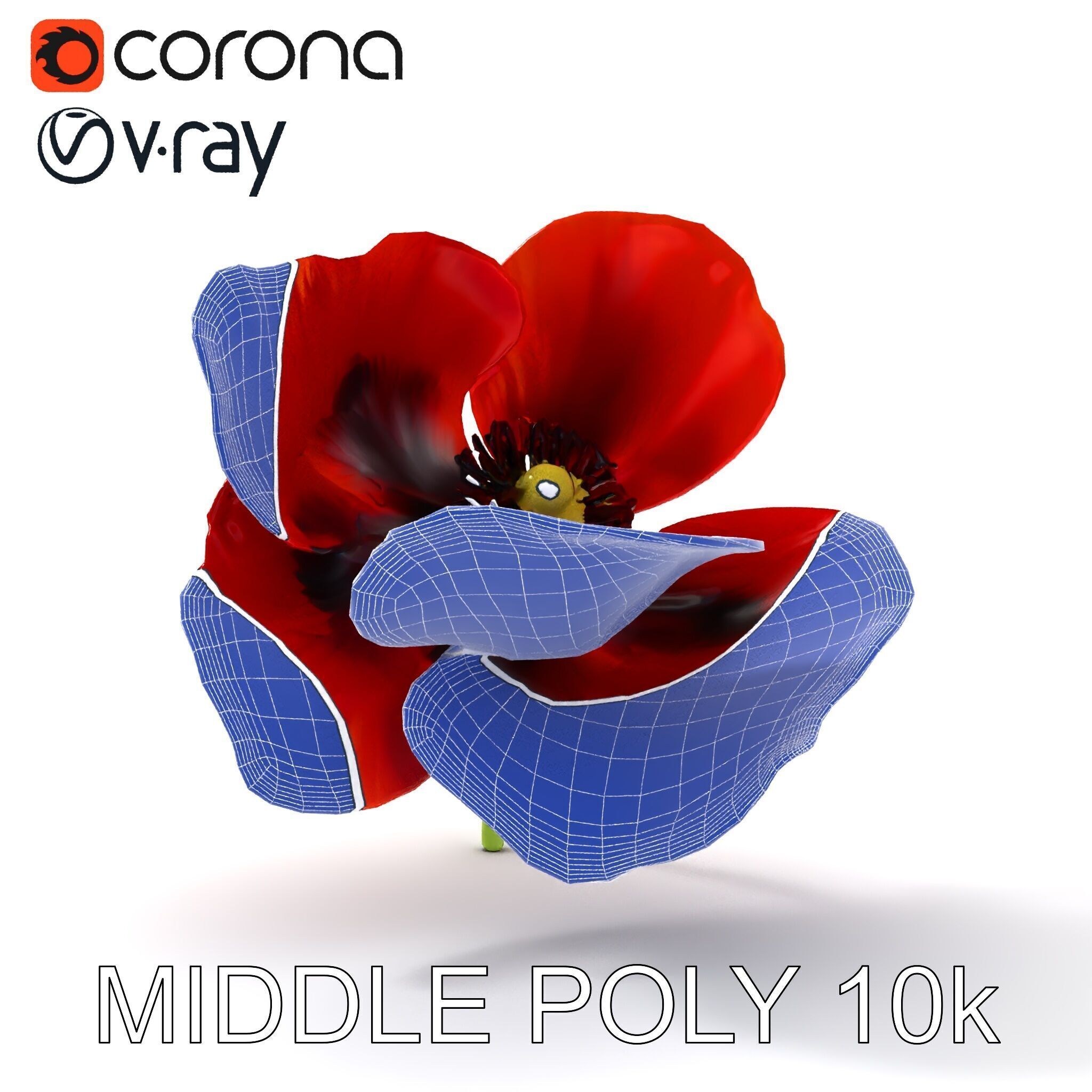 Poppy Flower D Model Pack Low-poly 3D model_25